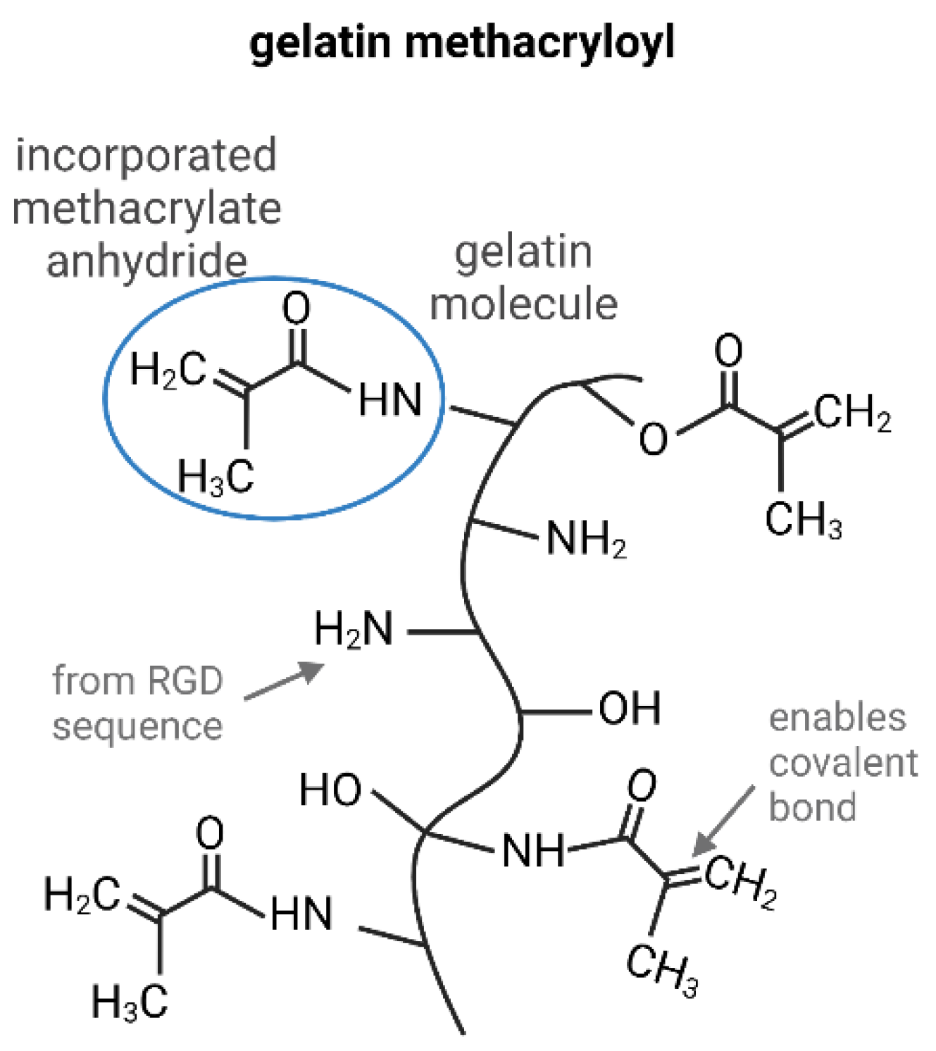 Gels 08 00611 g001 Gels 08 00611 g001