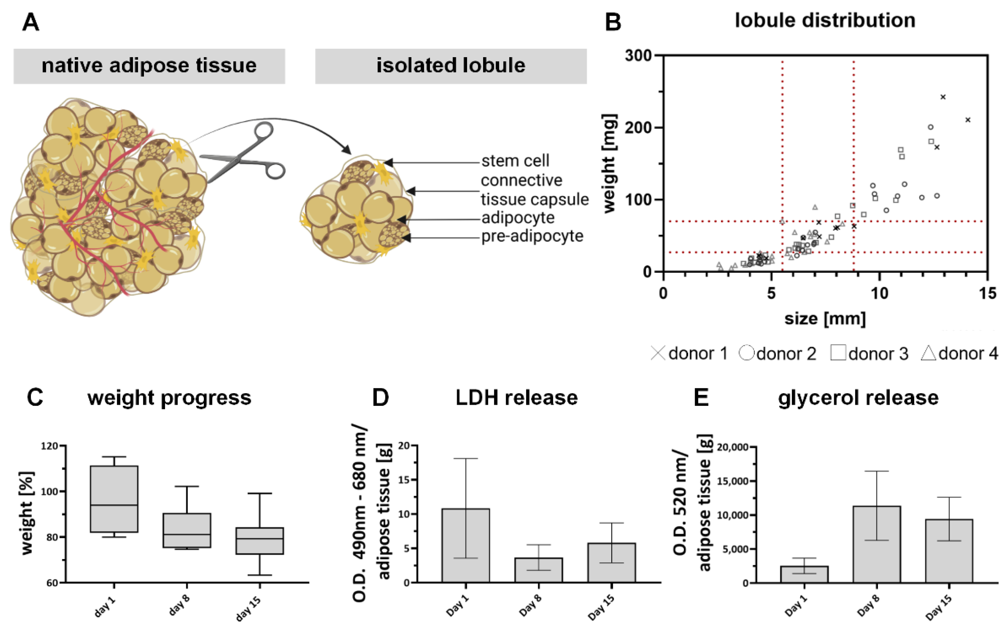 Gels 08 00611 g002 Gels 08 00611 g002