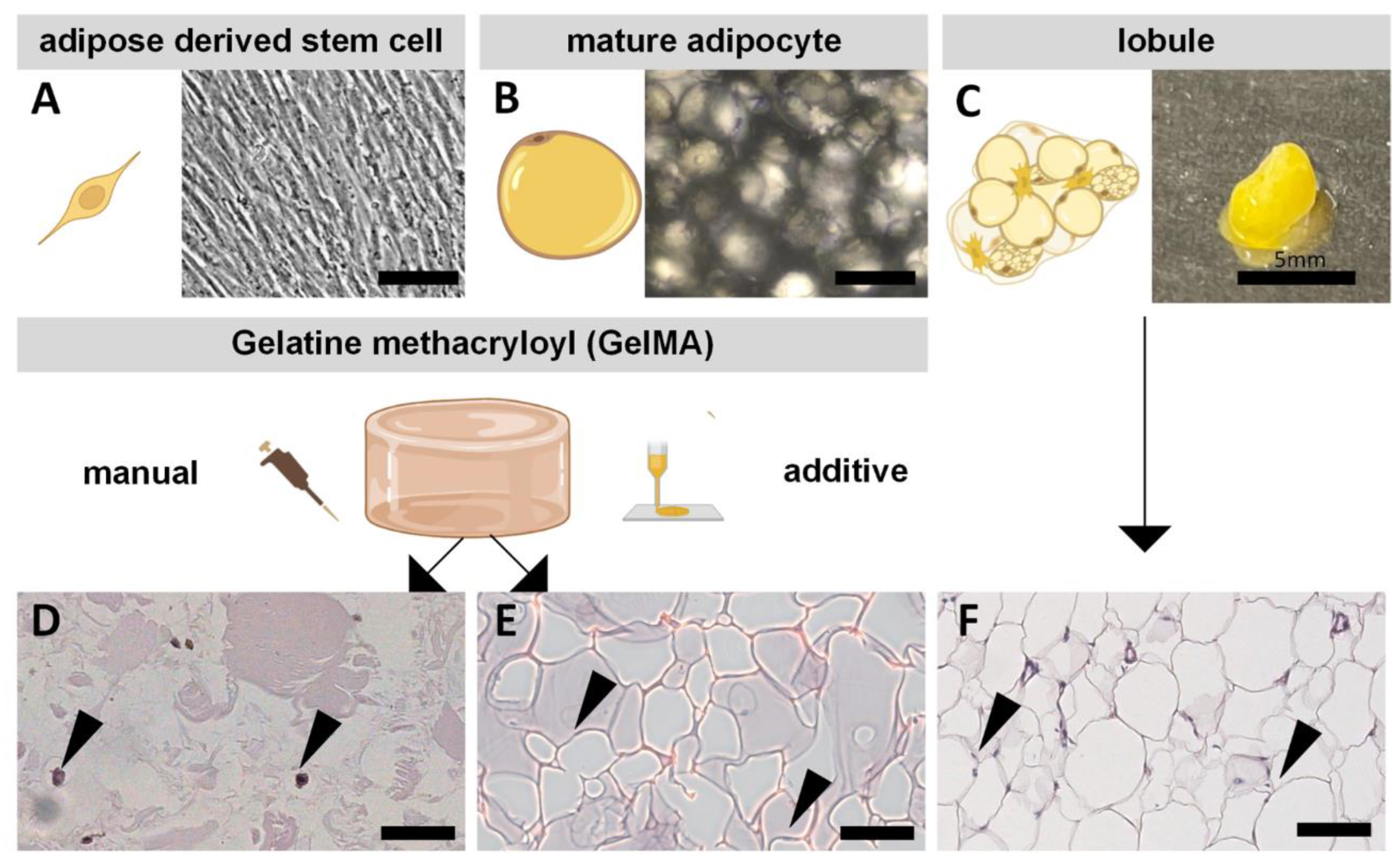 Gels 08 00611 g003 Gels 08 00611 g003