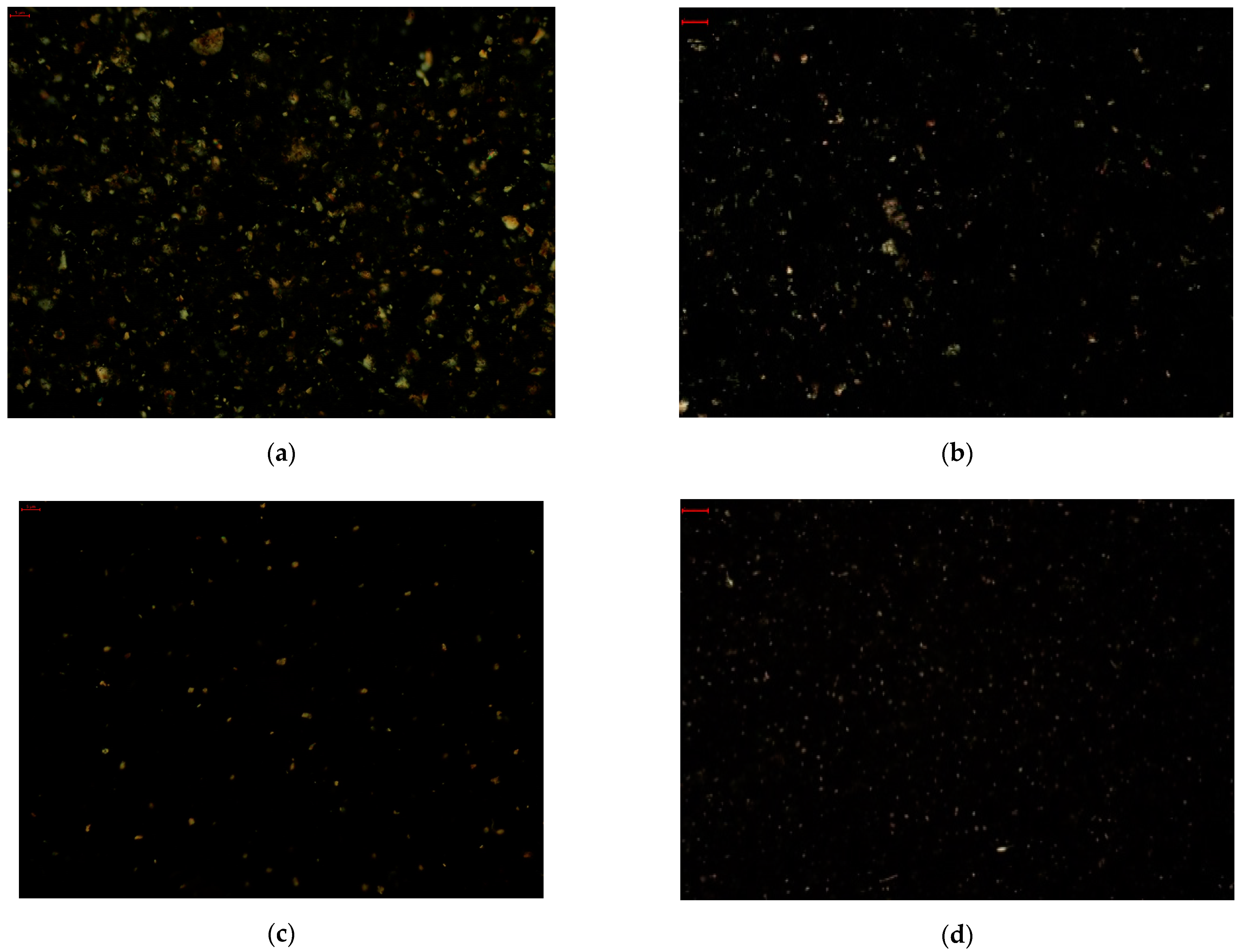 Gels 08 00613 g005 550