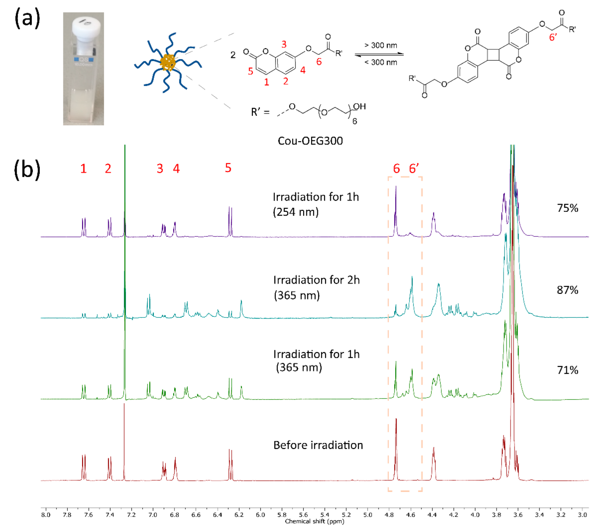 Gels 08 00615 g001 550
