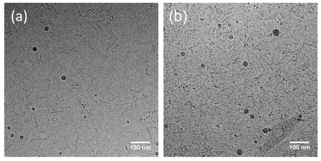 Gels 08 00615 g006 550