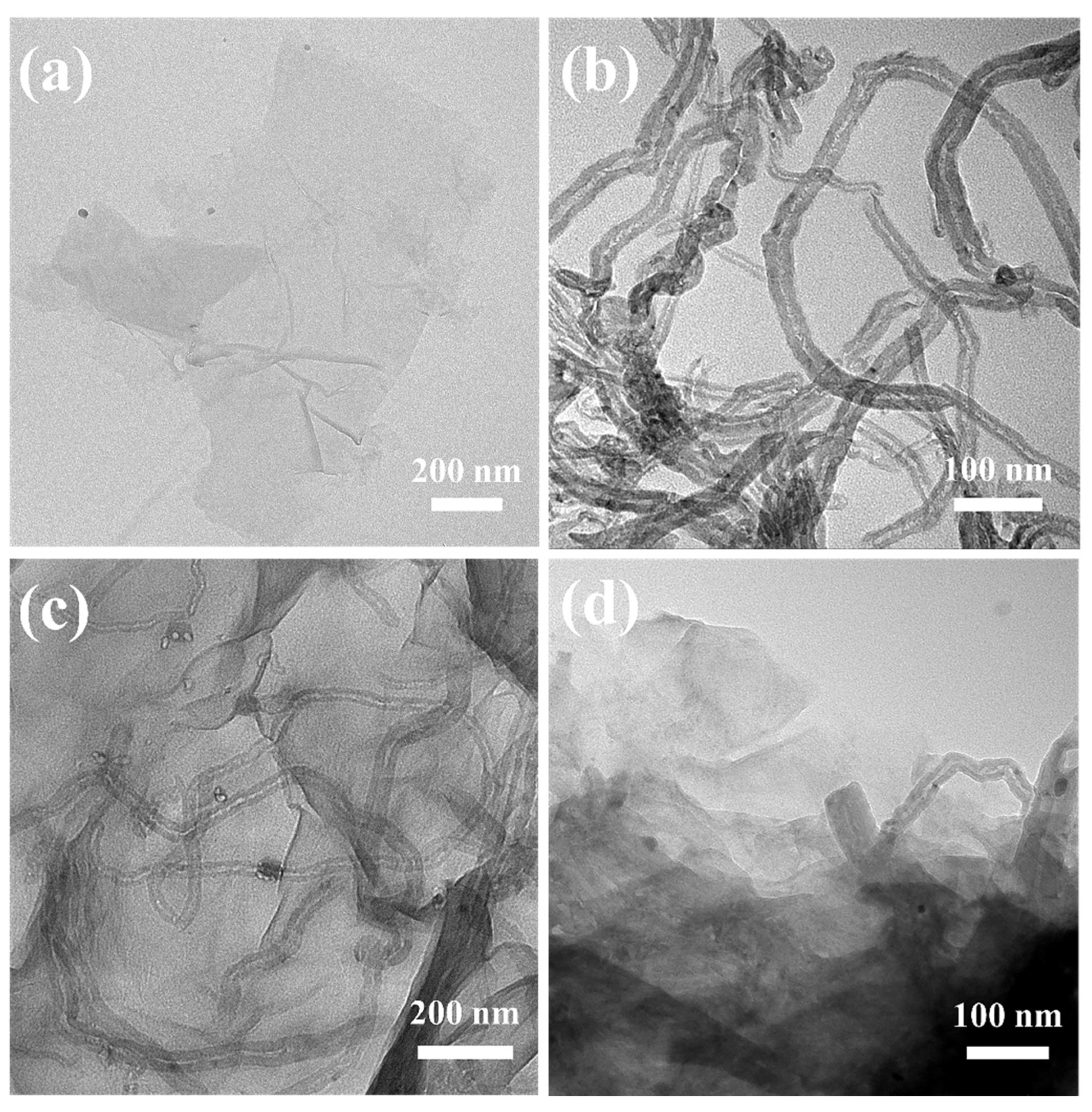 Gels 08 00618 g003 550