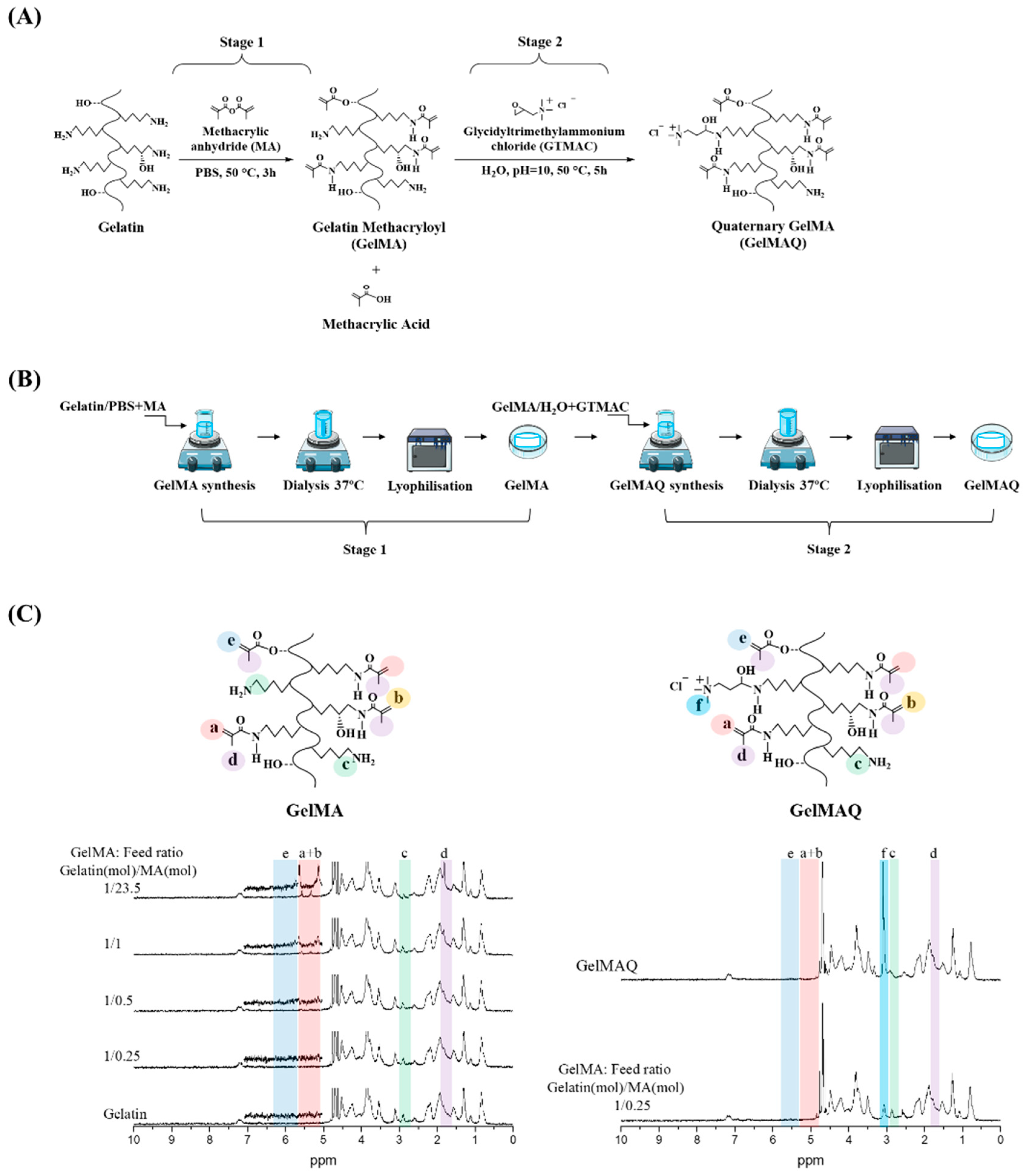 Gels 08 00630 g001 Gels 08 00630 g001