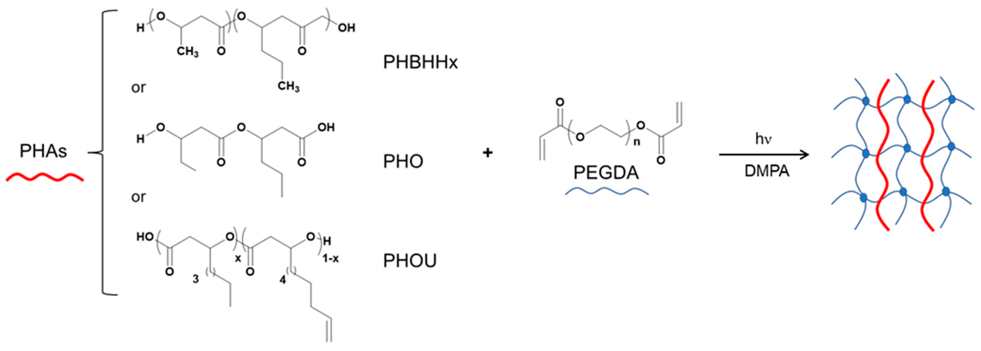 Gels 08 00632 g001 Gels 08 00632 g001