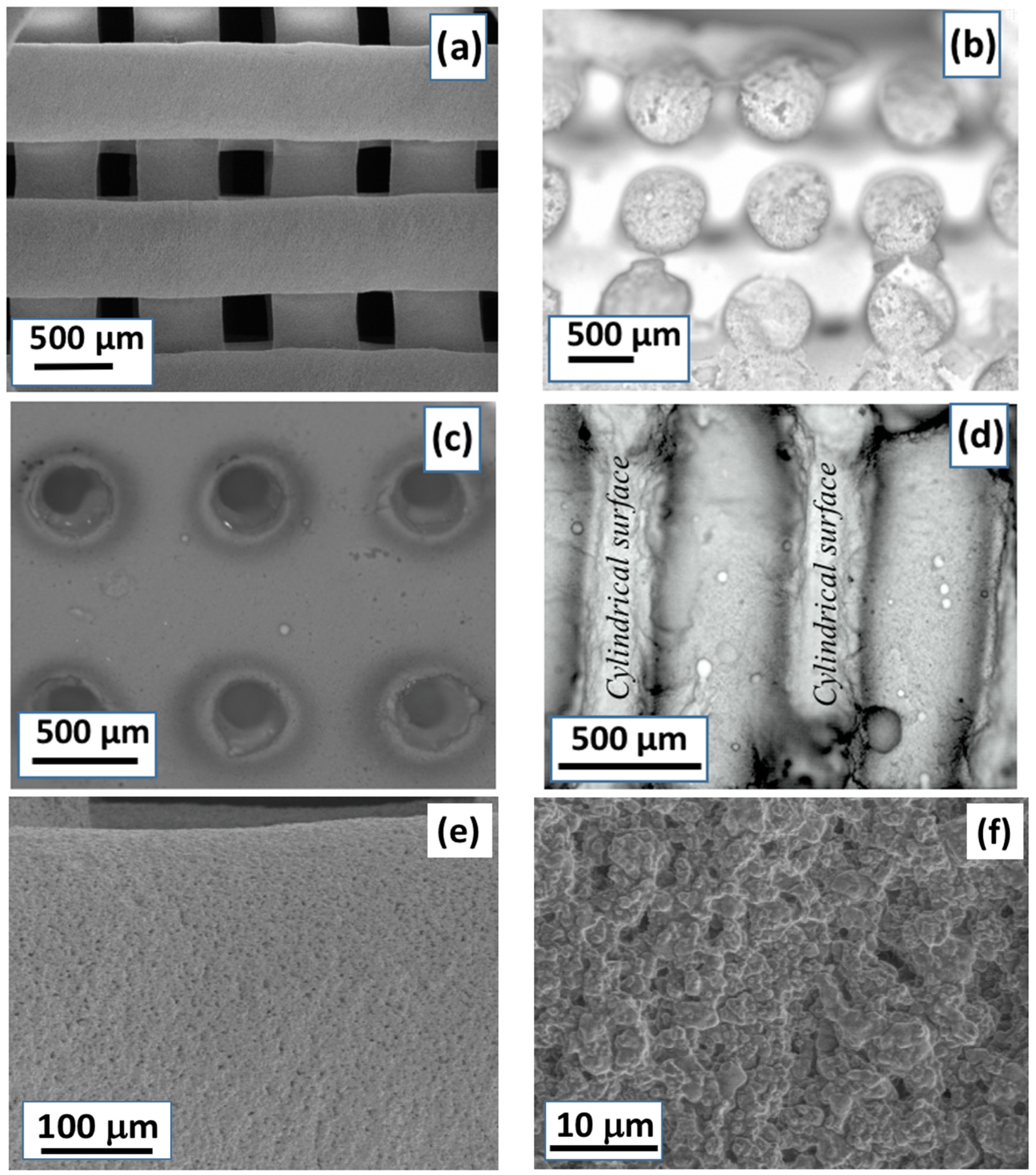Gels 08 00634 g003 Gels 08 00634 g003