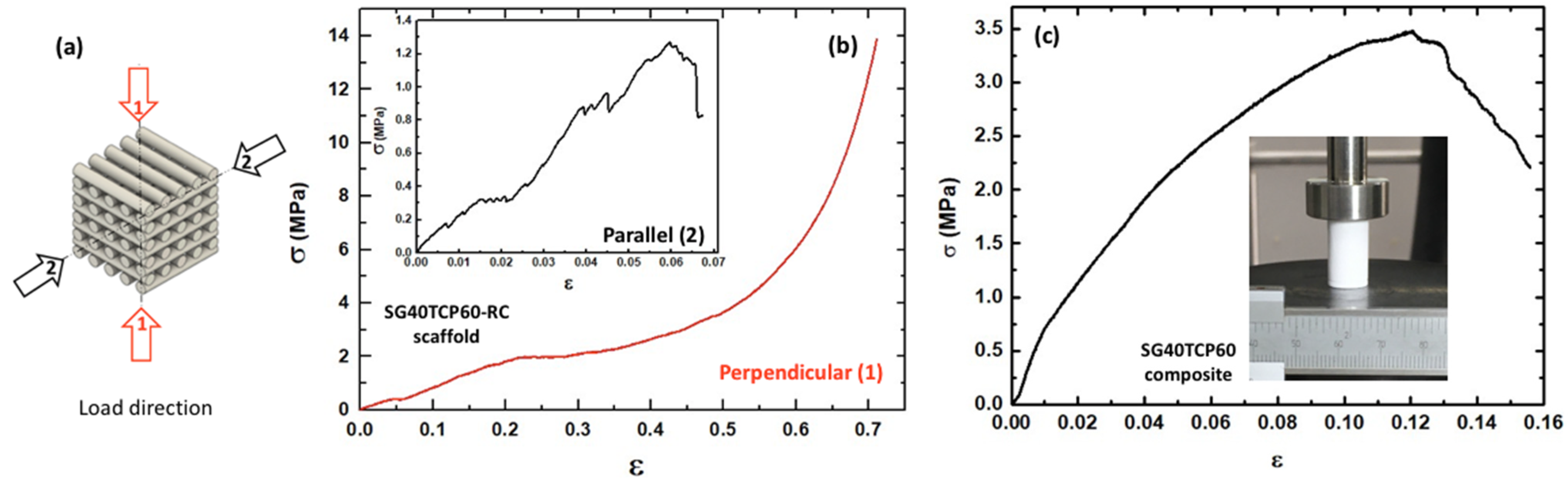 Gels 08 00634 g005 Gels 08 00634 g005