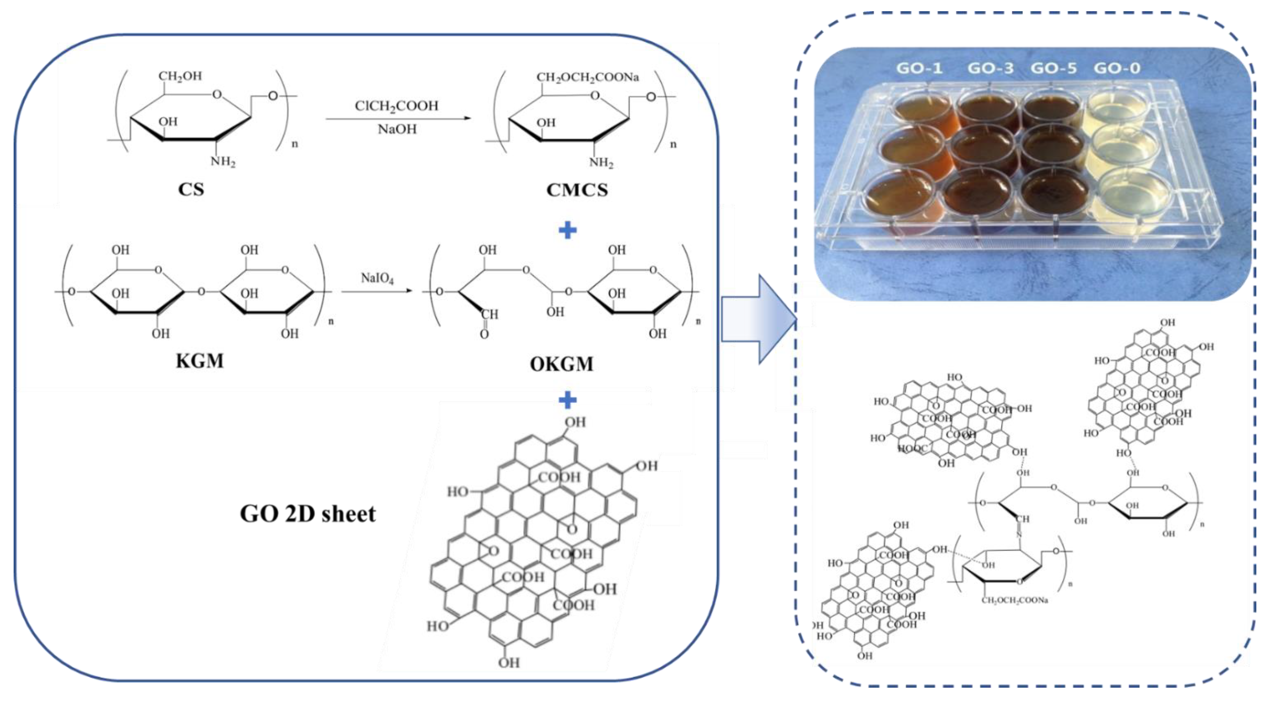 Gels 08 00646 g004 Gels 08 00646 g004