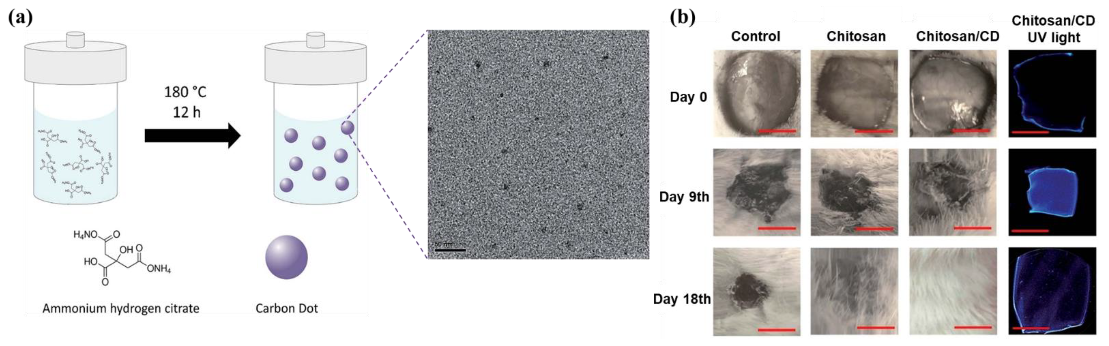 Gels 08 00646 g006 Gels 08 00646 g006