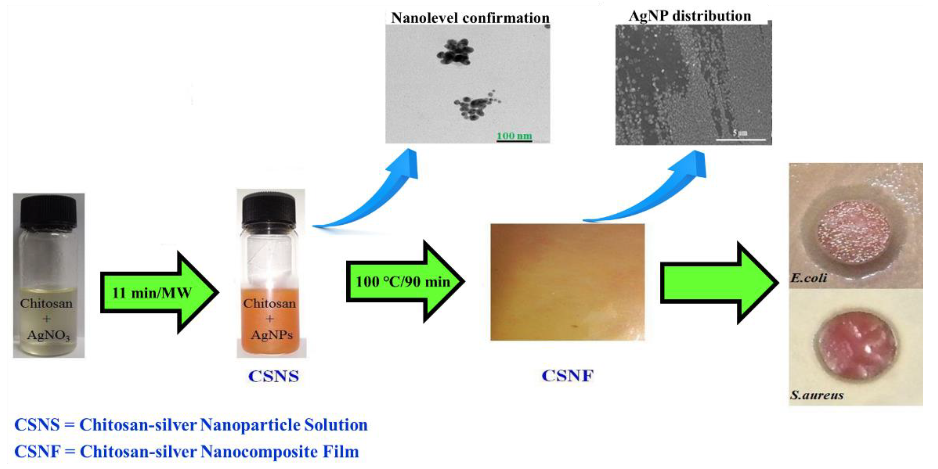 Gels 08 00646 g007 Gels 08 00646 g007