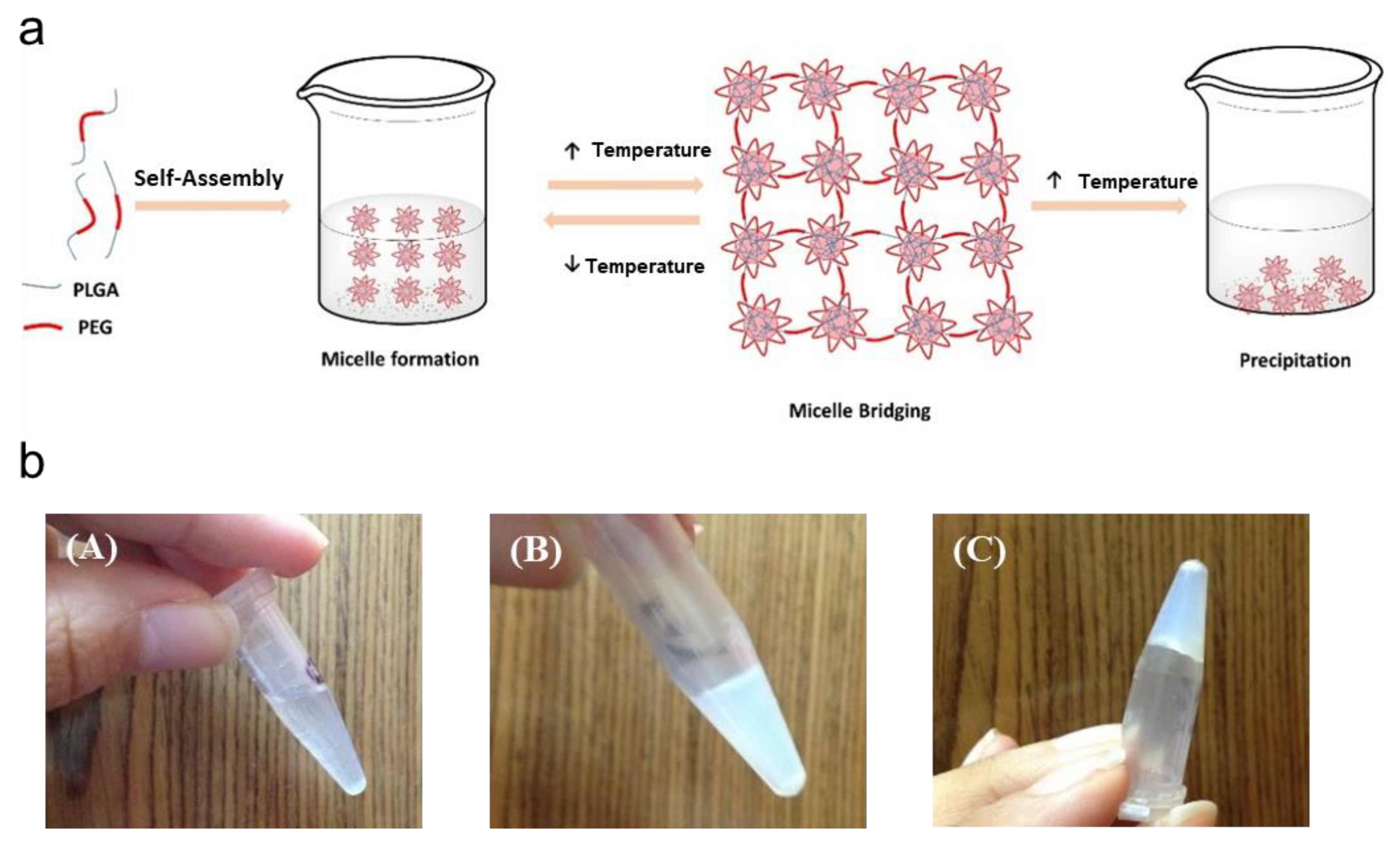 Gels 08 00646 g008 Gels 08 00646 g008