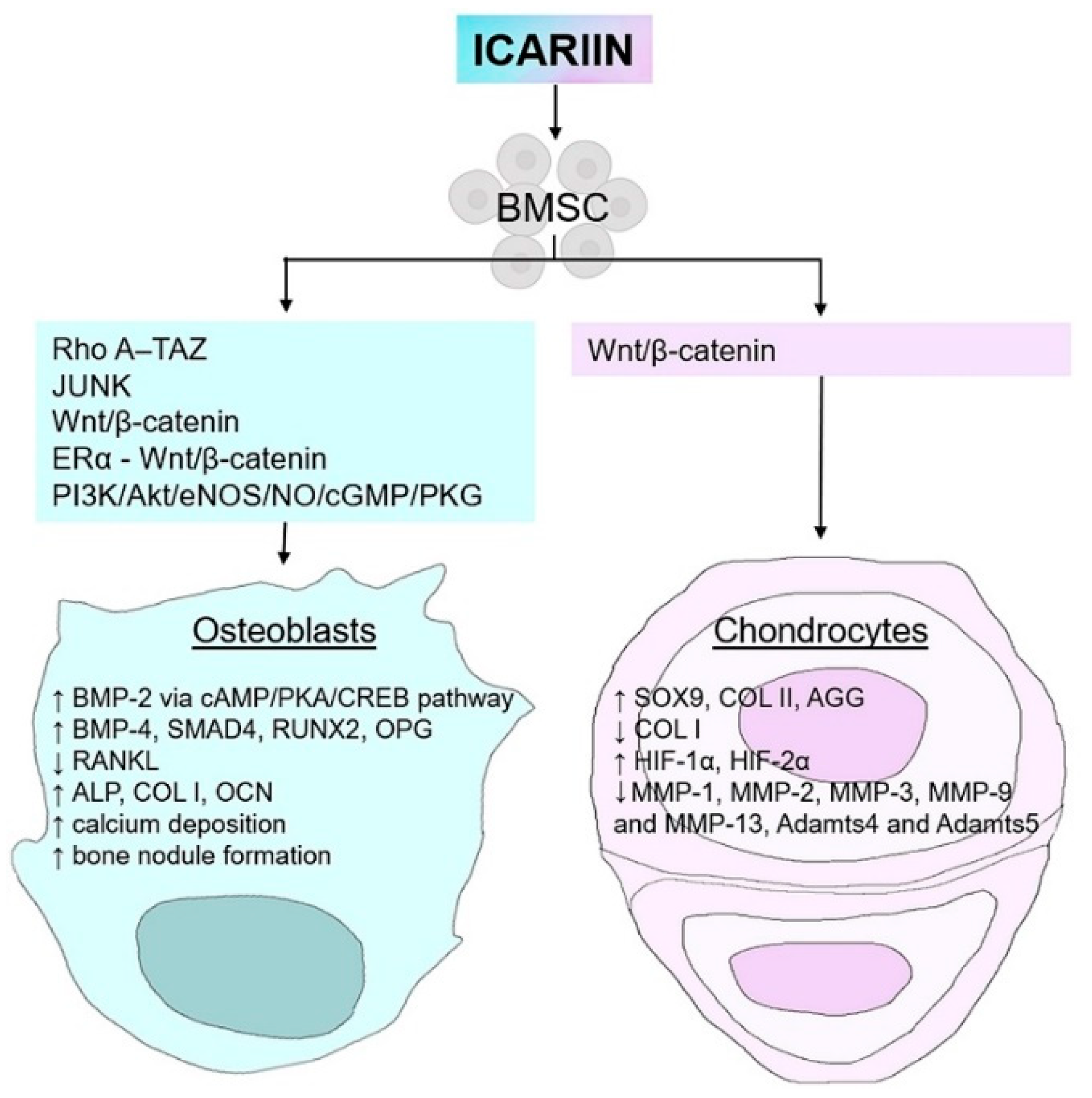 Gels 08 00648 g003 Gels 08 00648 g003