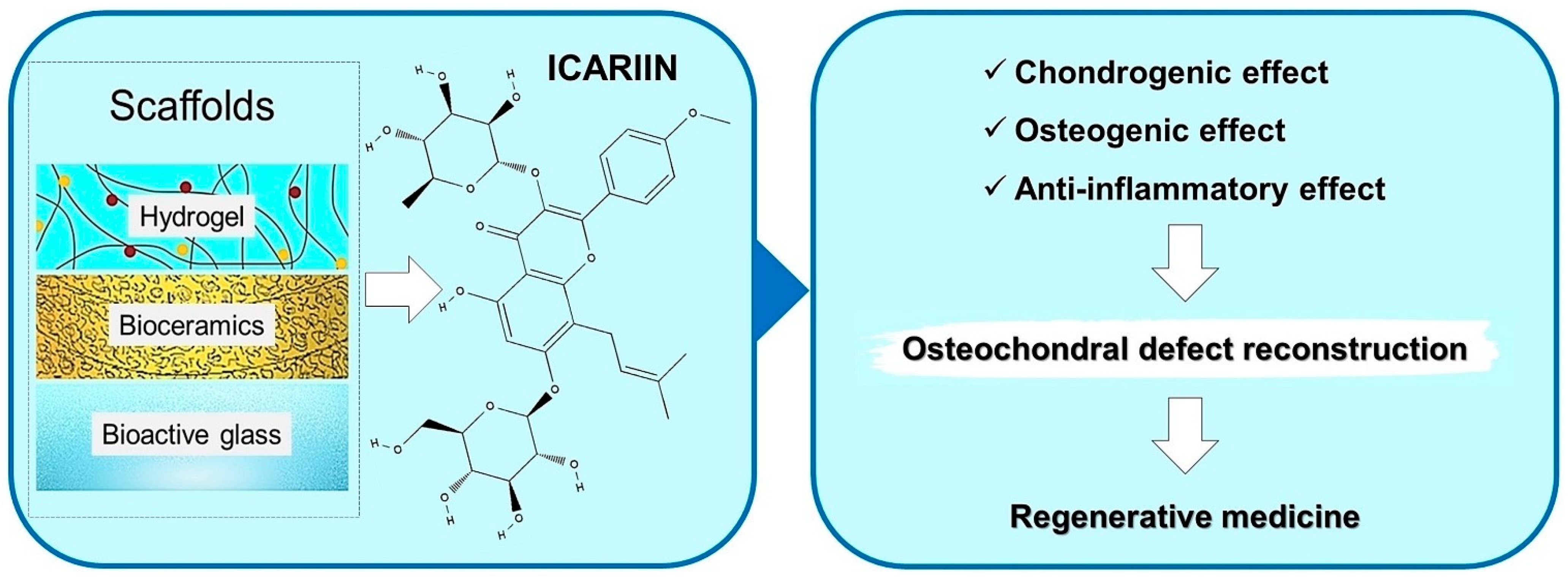 Gels 08 00648 g004 Gels 08 00648 g004