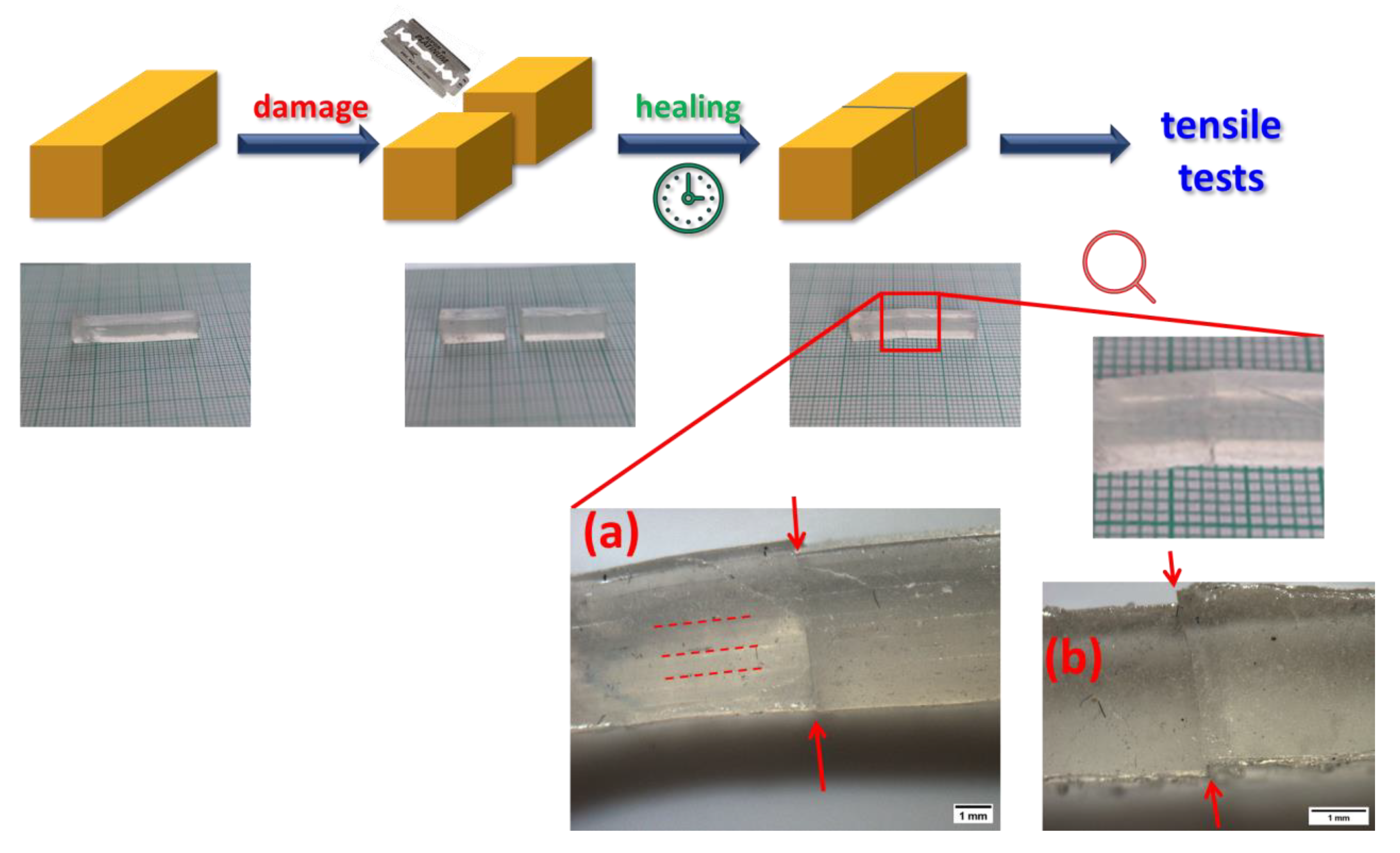 Gels 08 00657 g009 Gels 08 00657 g009