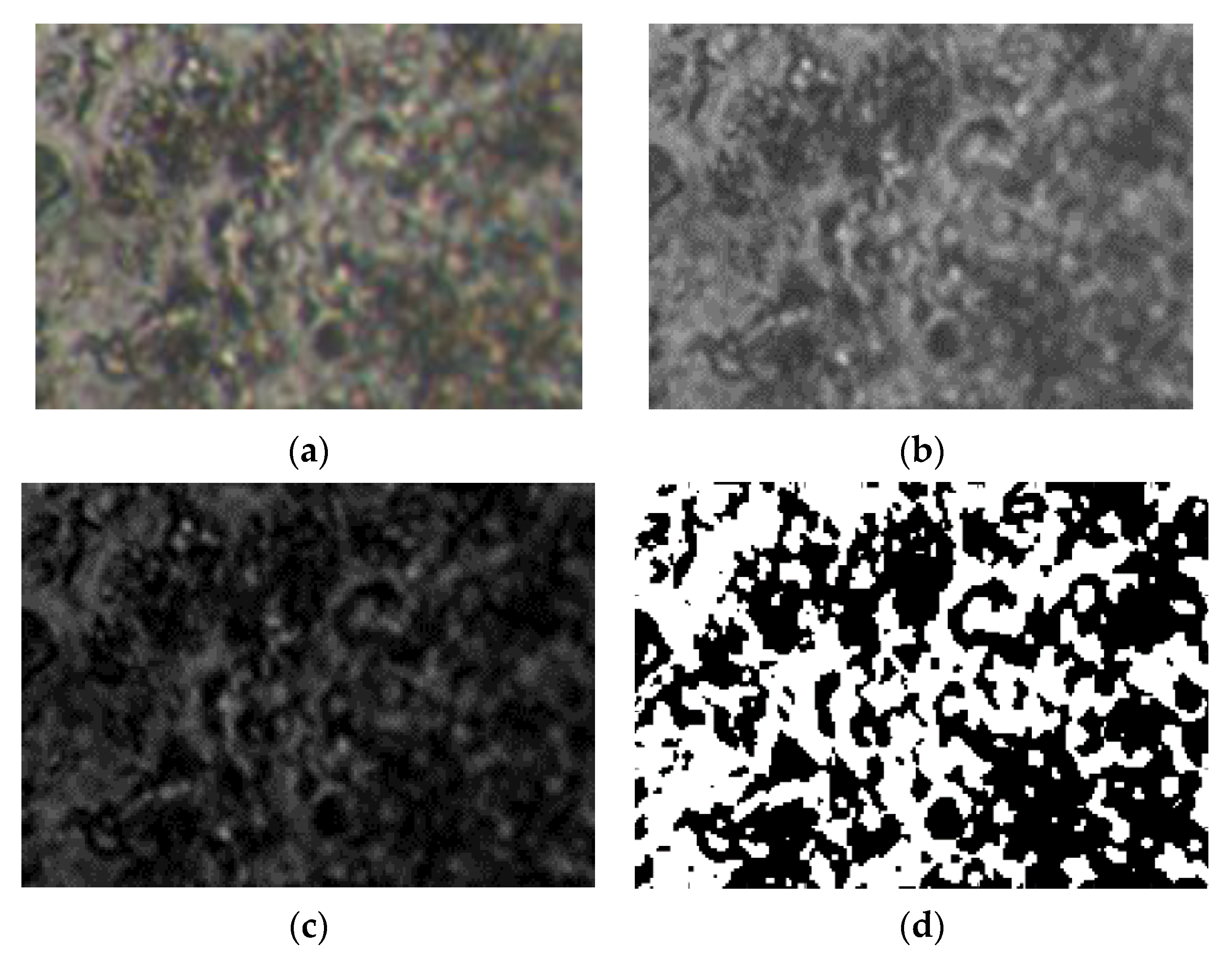 Gels 08 00661 g011 Gels 08 00661 g011