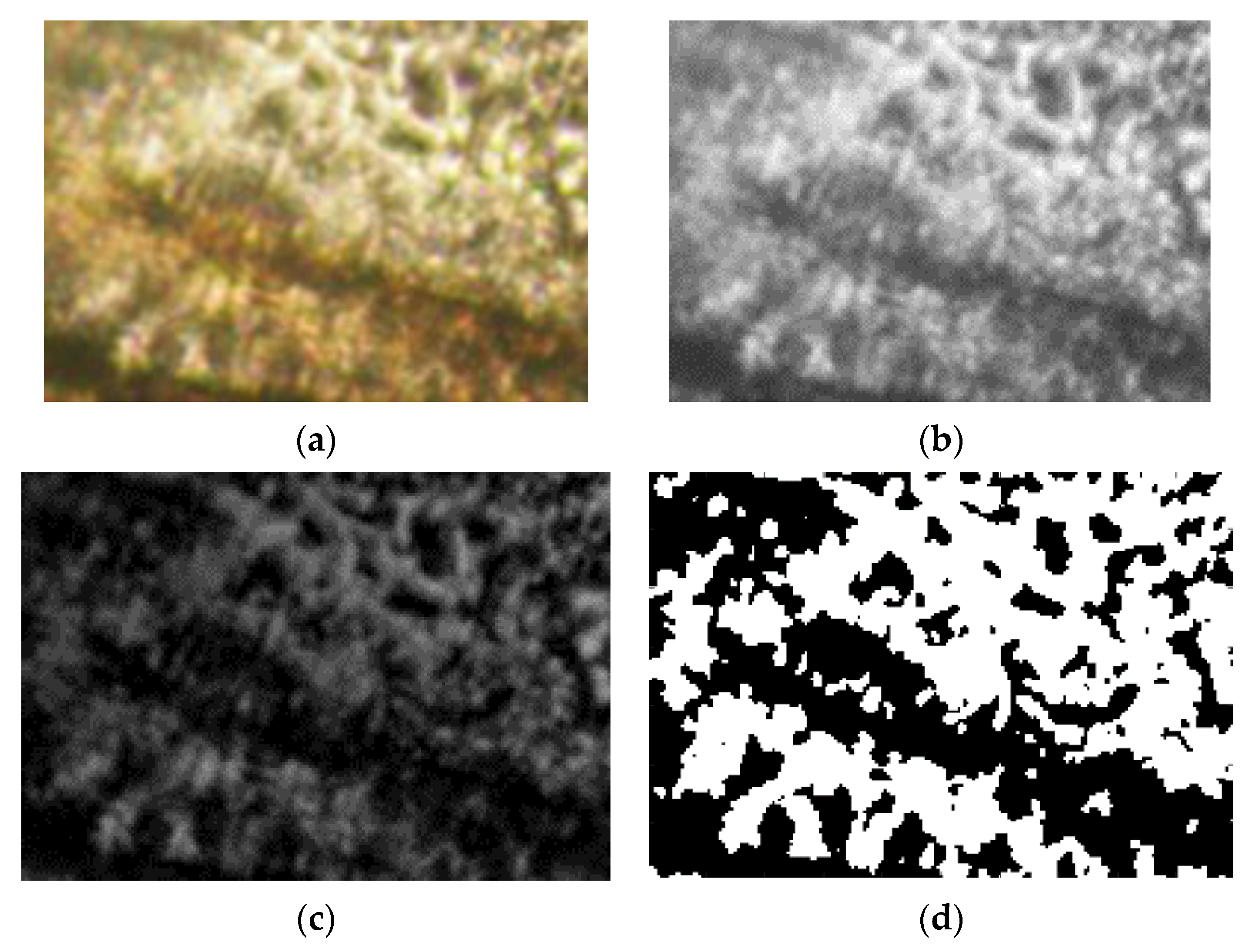 Gels 08 00661 g015 Gels 08 00661 g015