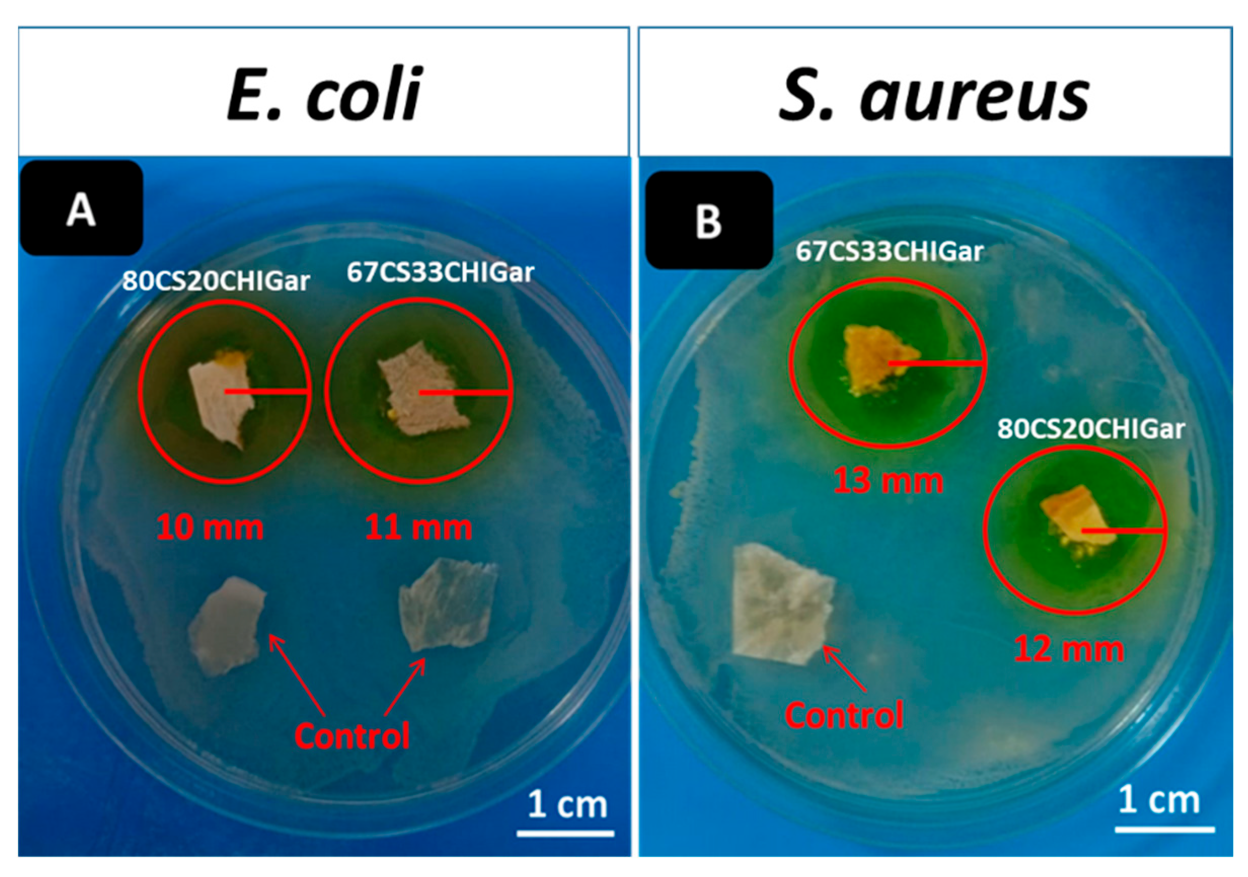 Gels 08 00676 g004 Gels 08 00676 g004