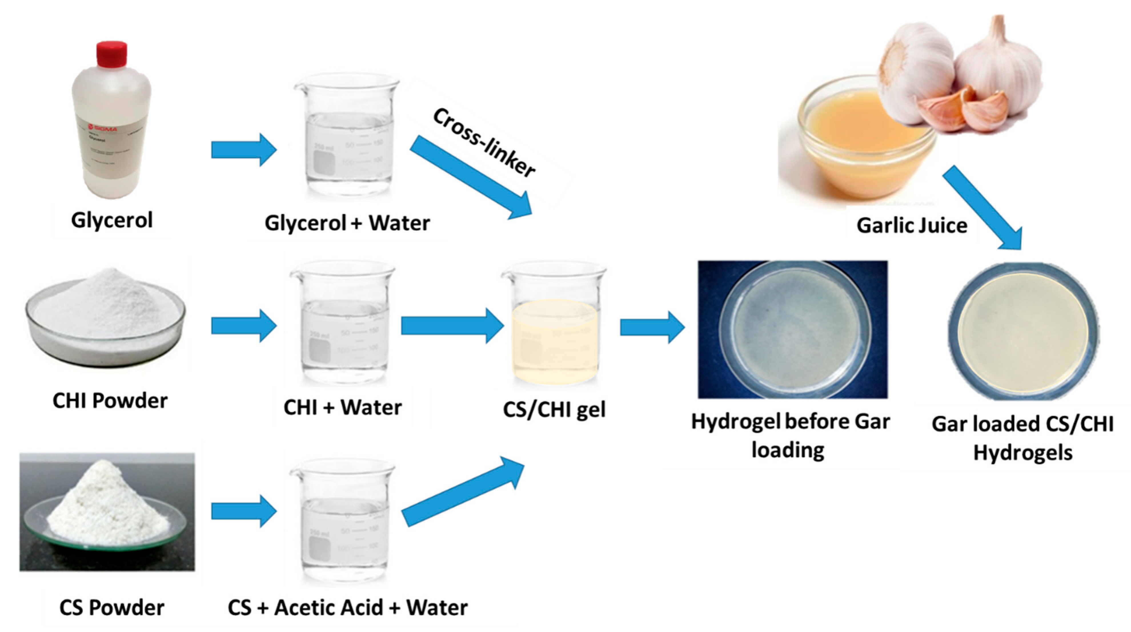 Gels 08 00676 g006 Gels 08 00676 g006