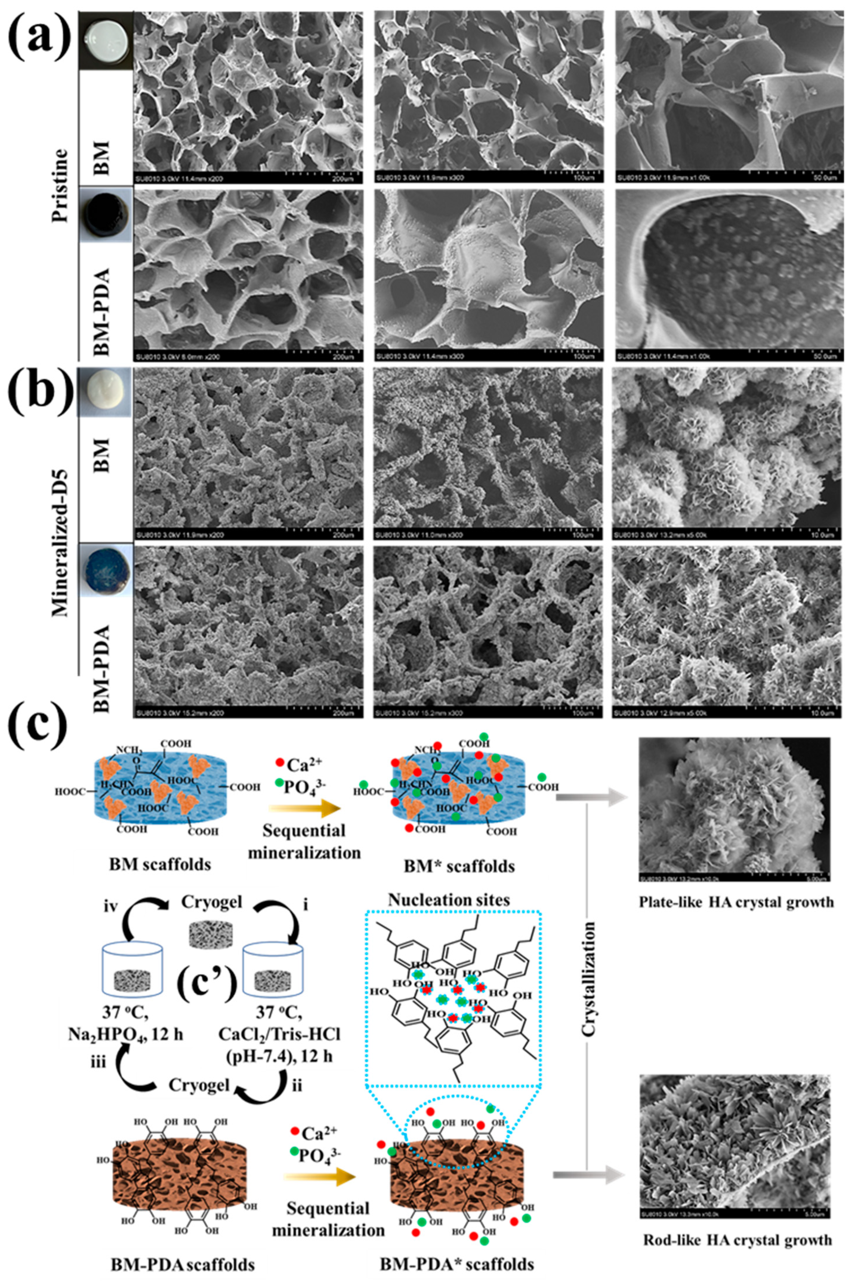 Gels 08 00679 g003 Gels 08 00679 g003
