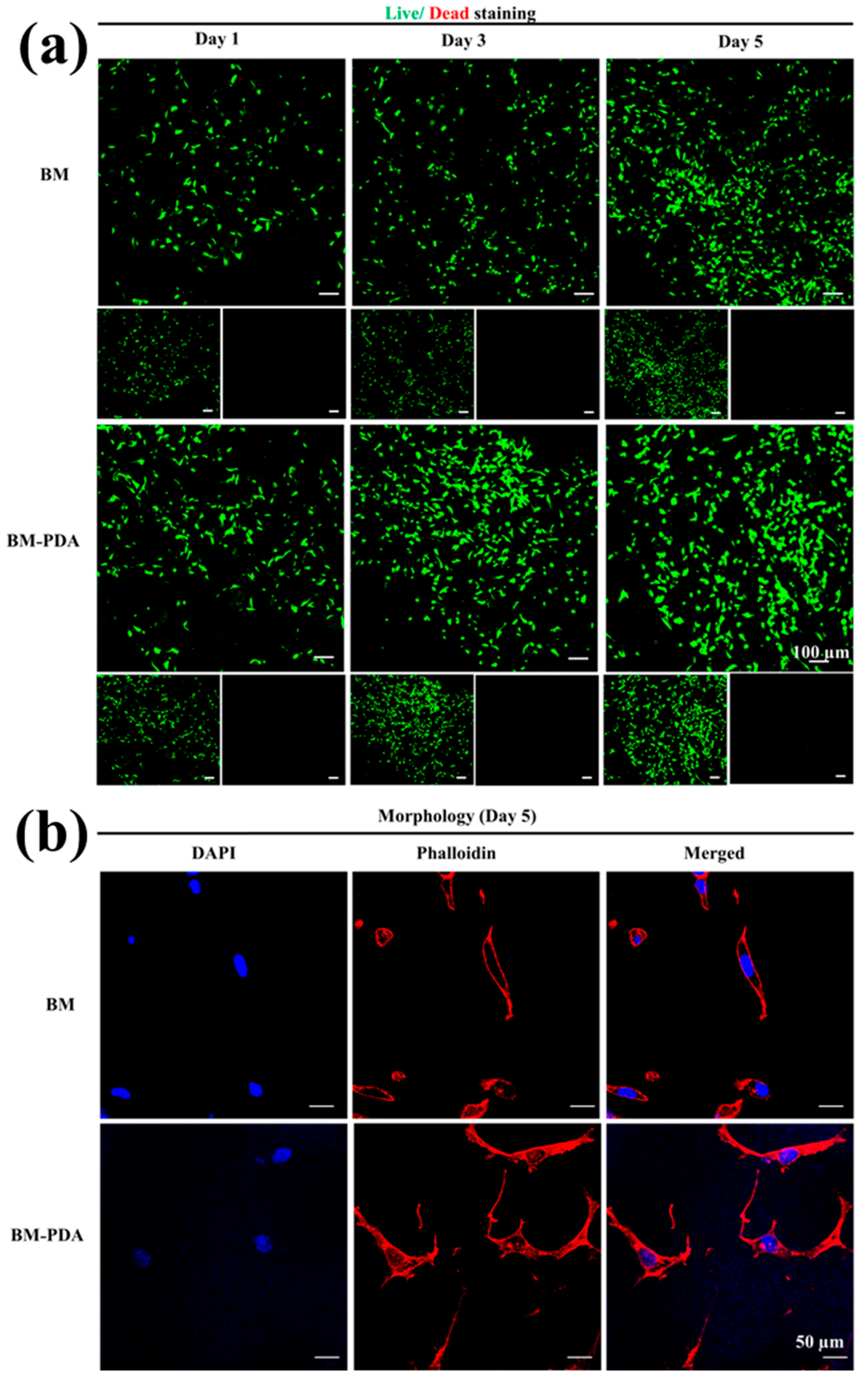 Gels 08 00679 g009 Gels 08 00679 g009