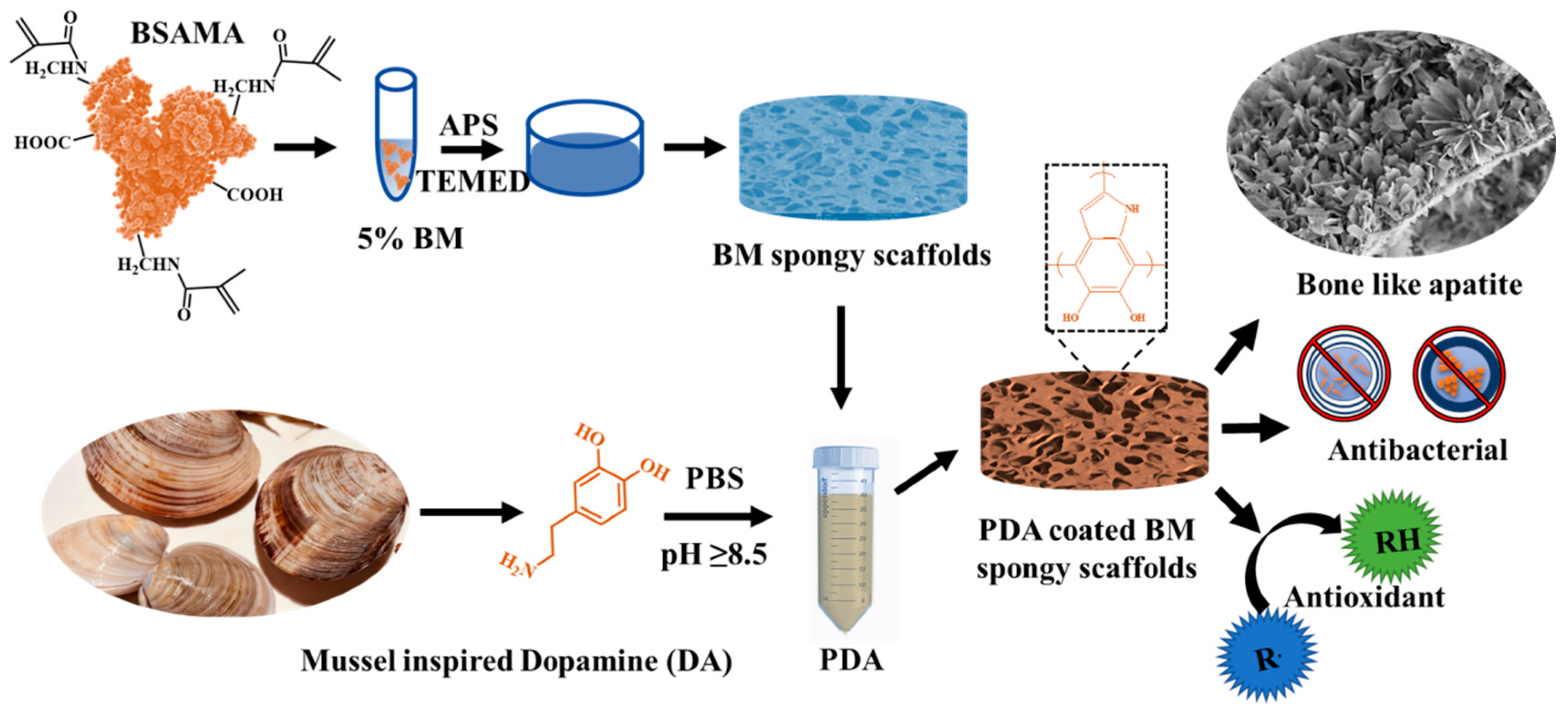 Gels 08 00679 sch001 Gels 08 00679 sch001
