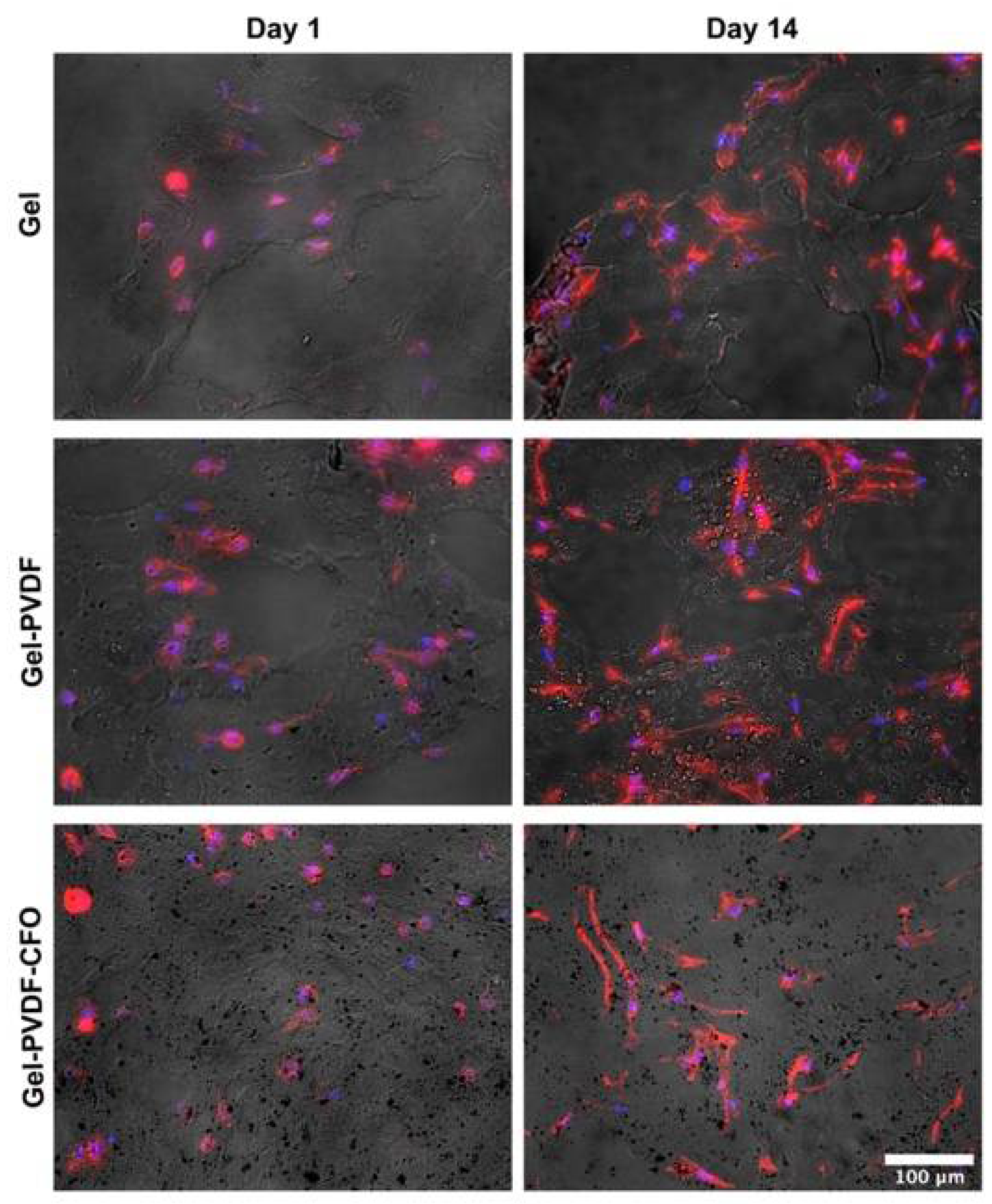 Gels 08 00680 g003 Gels 08 00680 g003