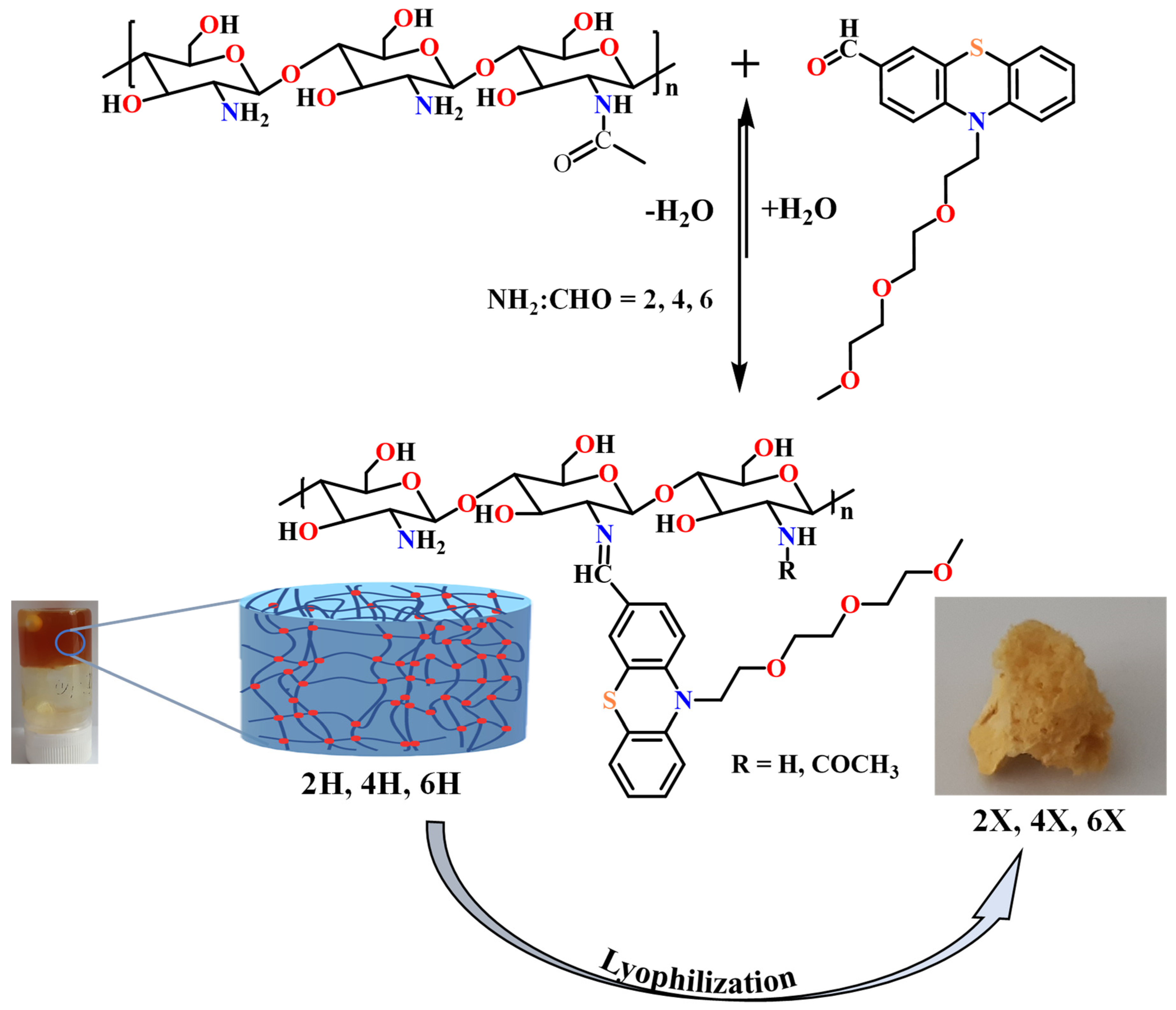 Gels 08 00692 sch002 Gels 08 00692 sch002