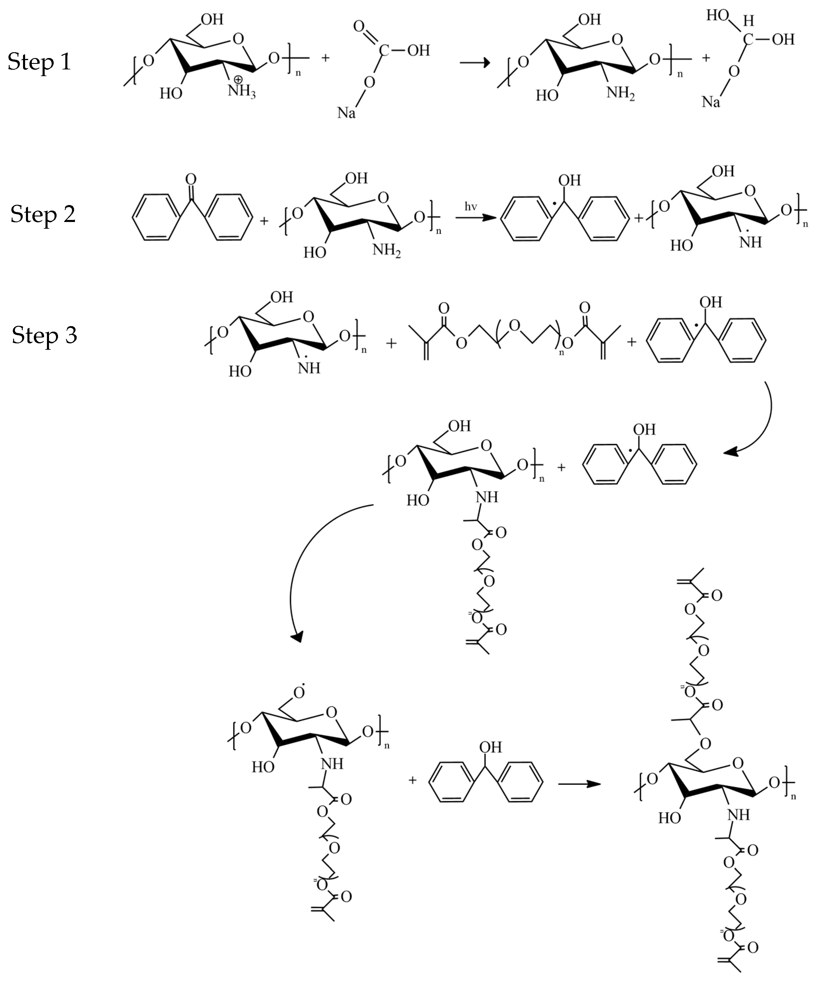 Gels 08 00696 g001 Gels 08 00696 g001