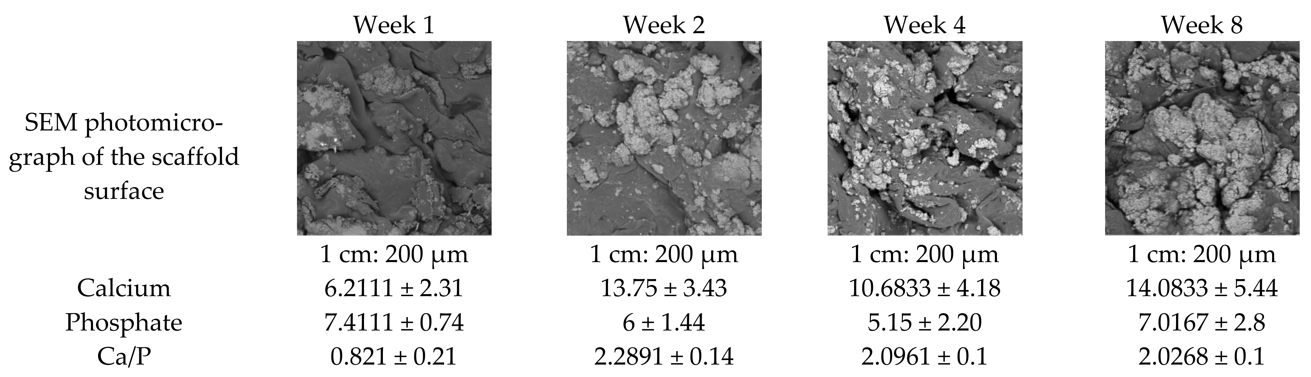 Gels 08 00696 g013 Gels 08 00696 g013