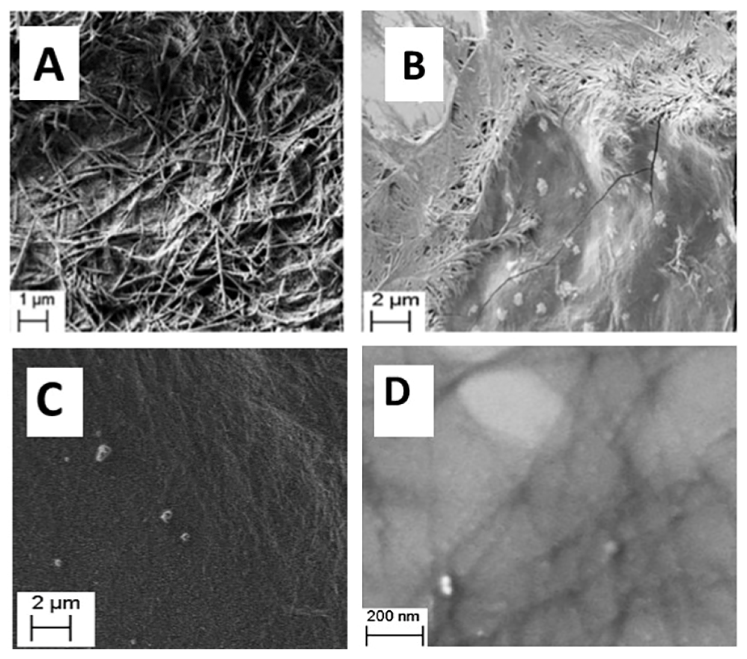 Gels 08 00700 g003 Gels 08 00700 g003