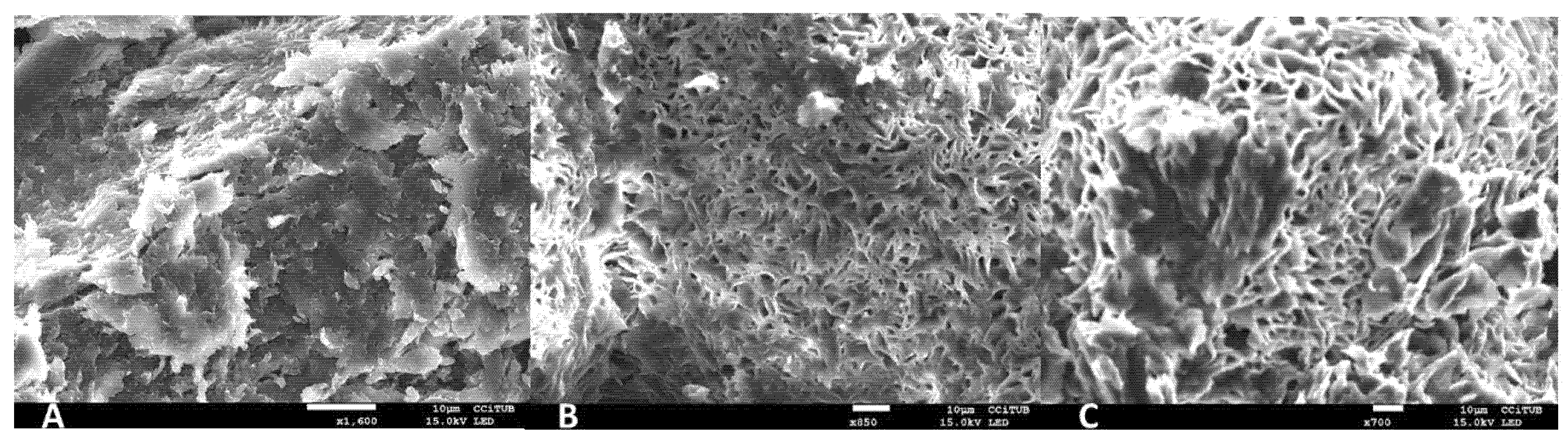 Gels 08 00715 g003 Gels 08 00715 g003