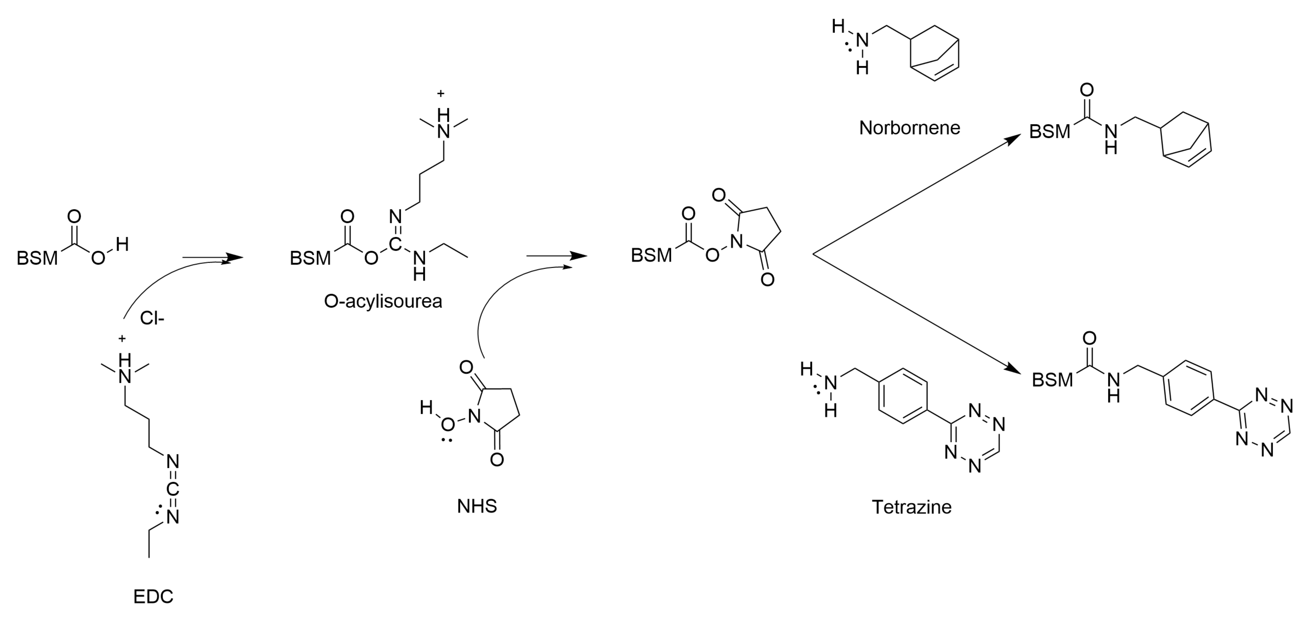 Gels 08 00718 g0a3 Gels 08 00718 g0a3