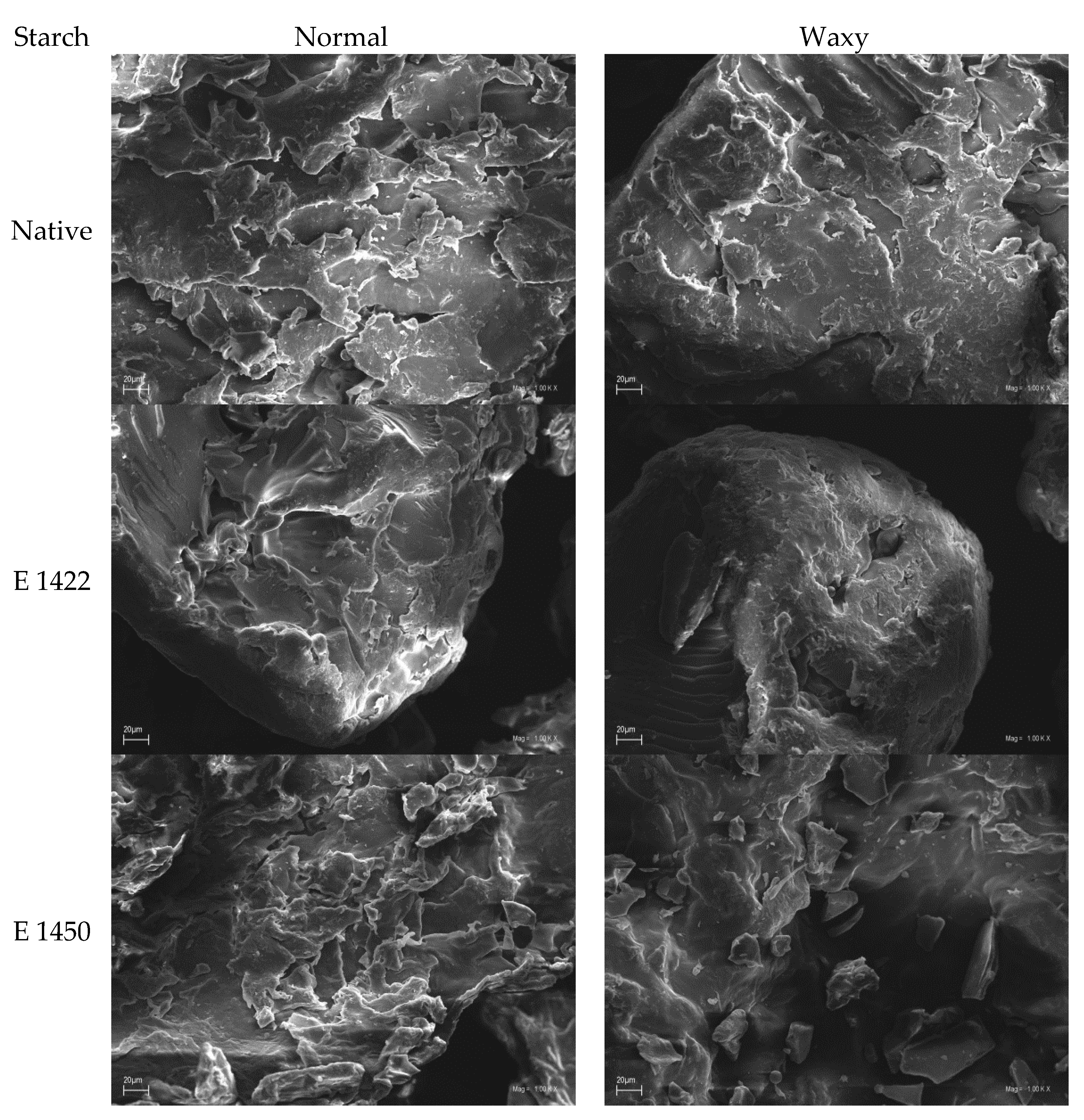 Gels 08 00720 g002 Gels 08 00720 g002