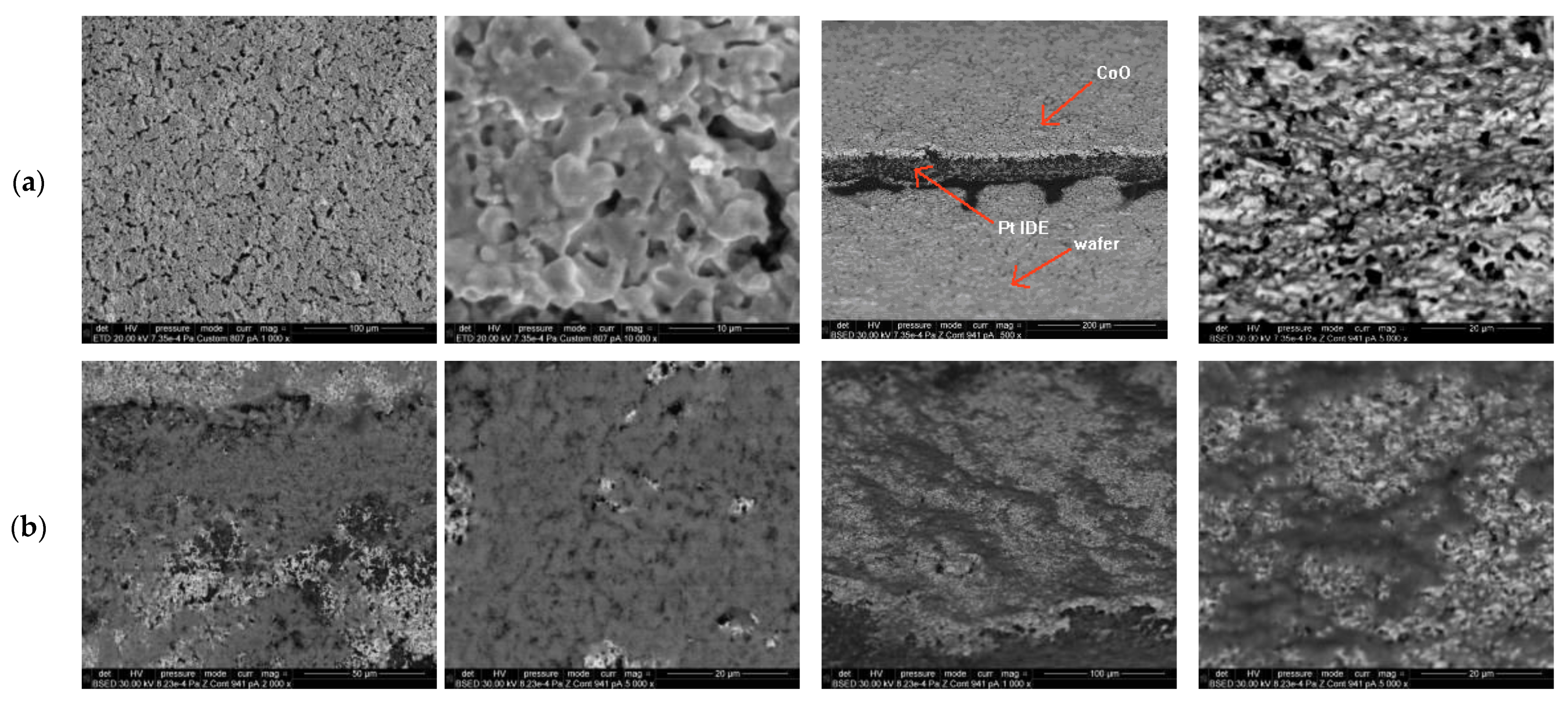 Gels 08 00721 g002 Gels 08 00721 g002