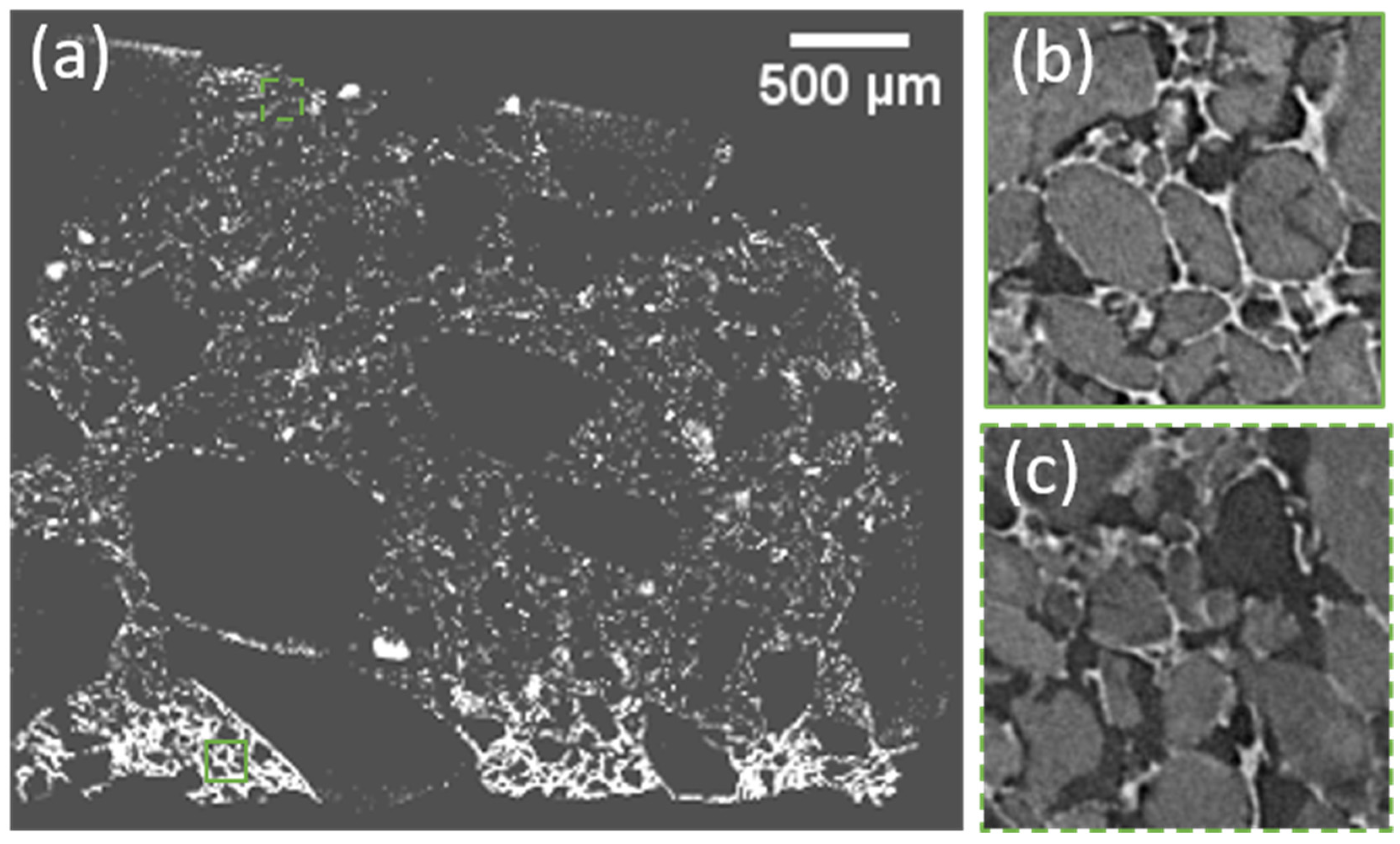 Gels 08 00732 g003 Gels 08 00732 g003