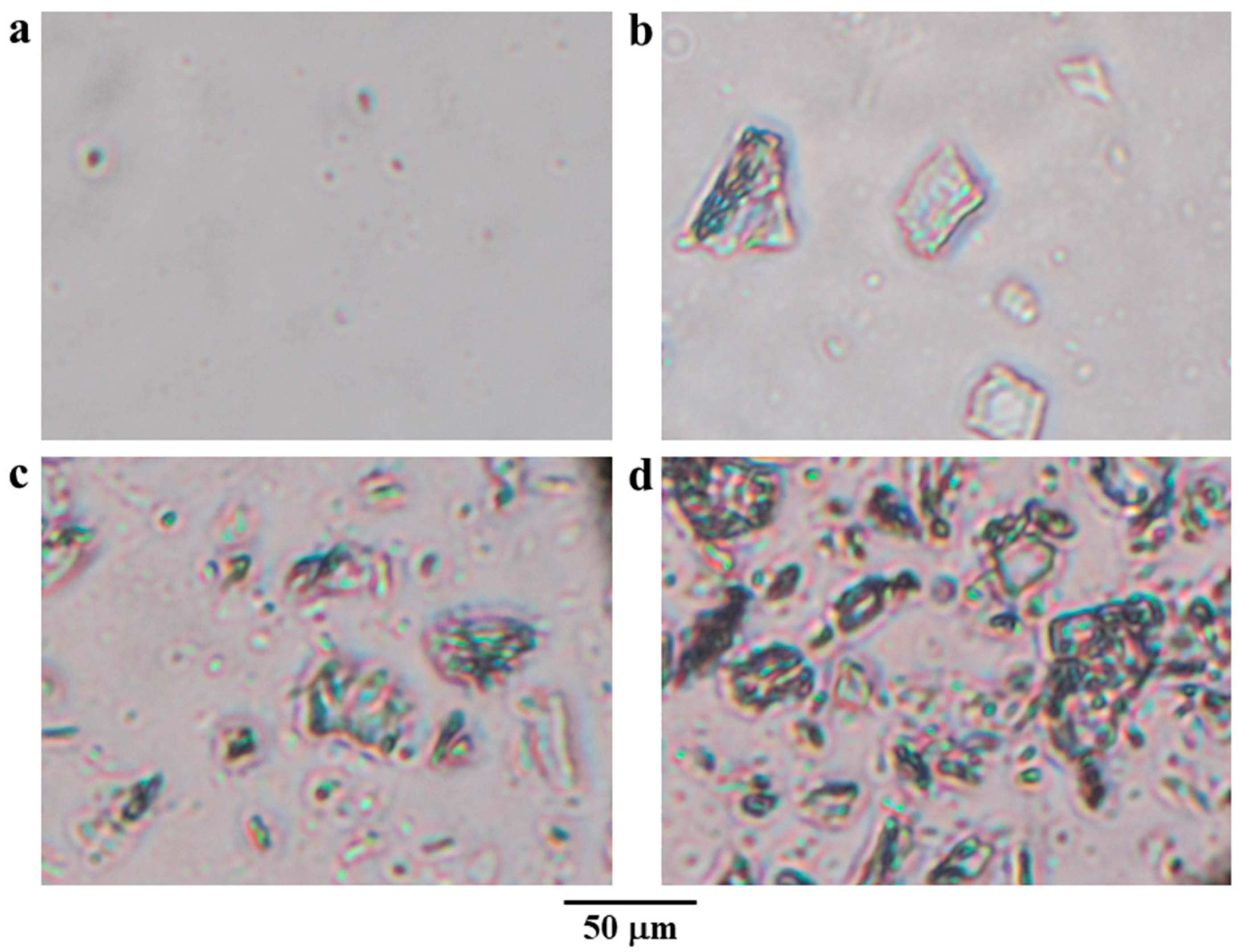 Gels 08 00739 g002 Gels 08 00739 g002