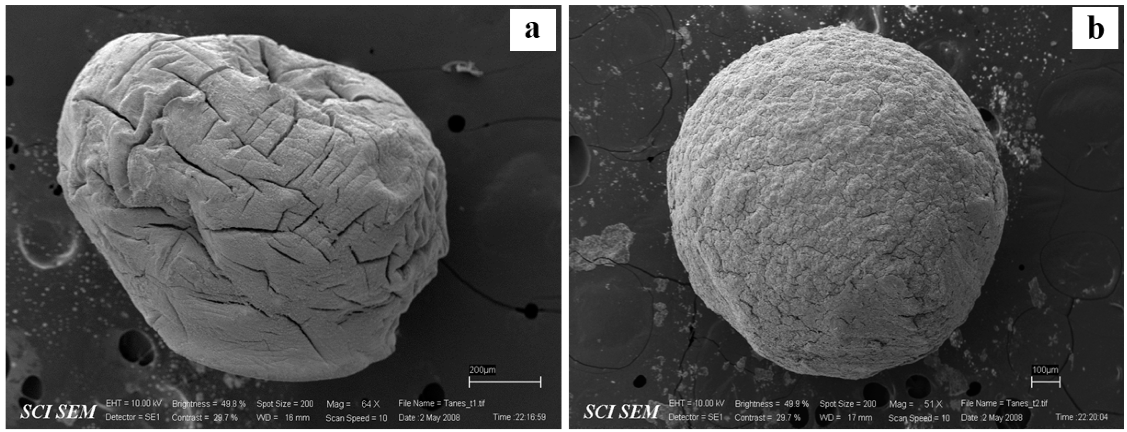 Gels 08 00739 g005 Gels 08 00739 g005