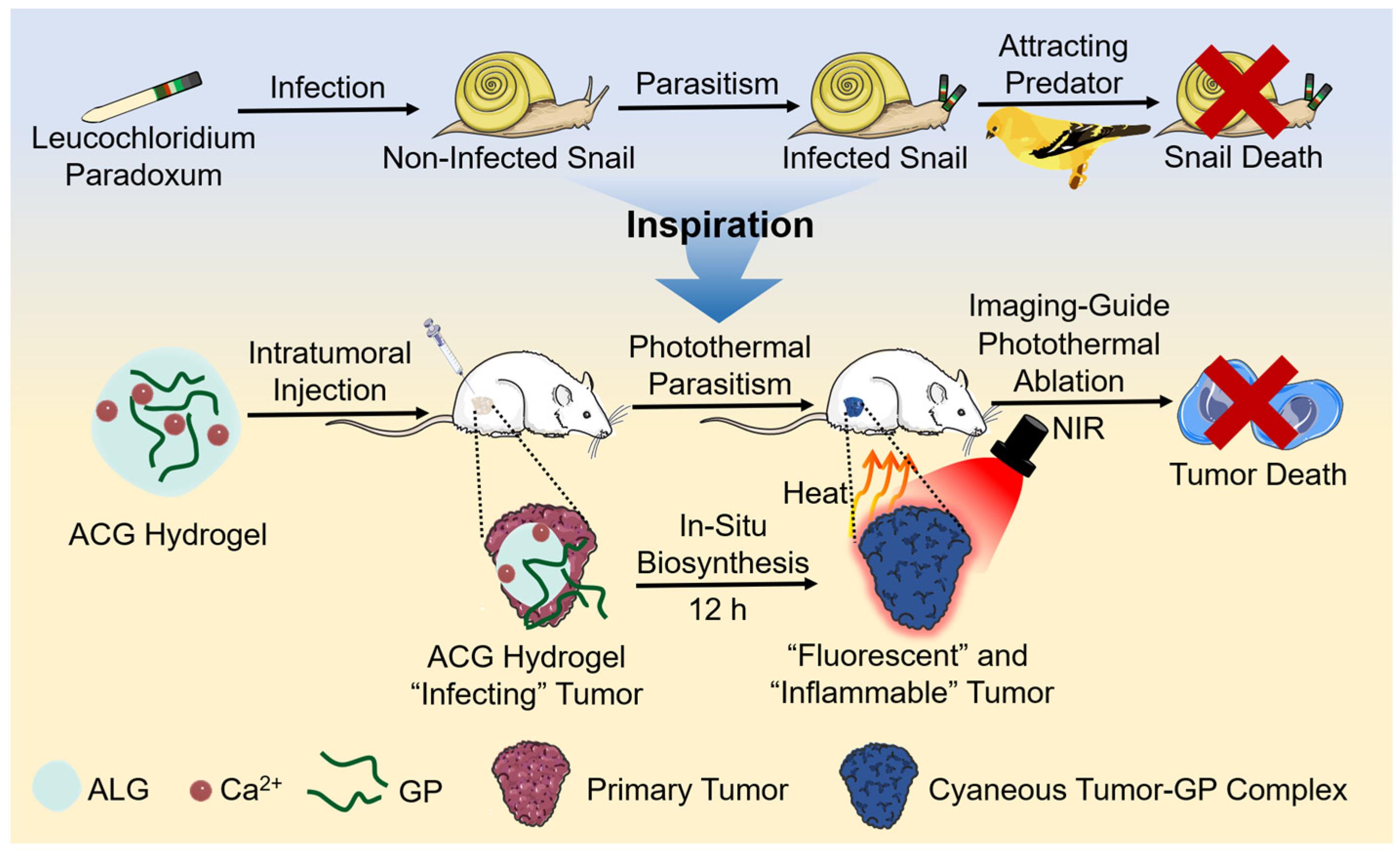 Gels 08 00754 sch001