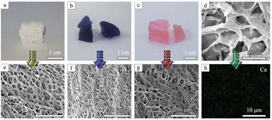 ゲル Sensitive detection of lincomycin based on ECL resonance