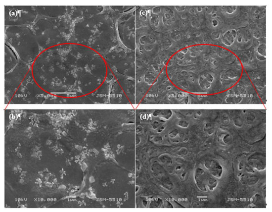 Cr(III) Ion-Imprinted Hydrogel Membrane for Chromium