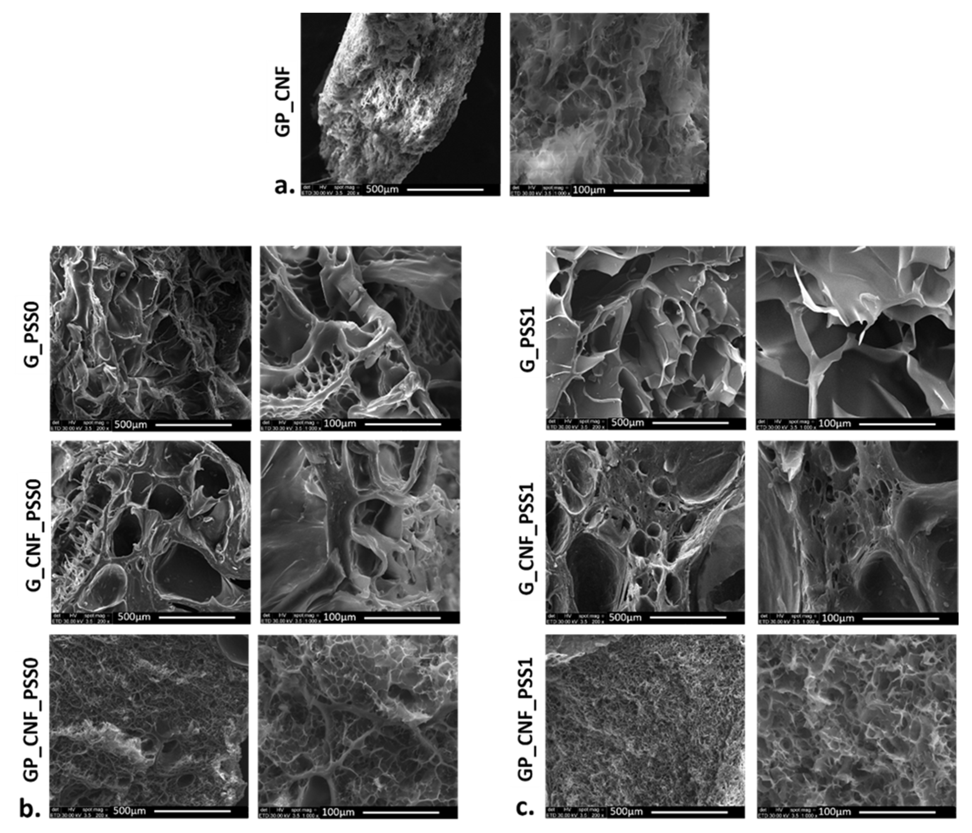 Gels 08 00762 g003 Gels 08 00762 g003