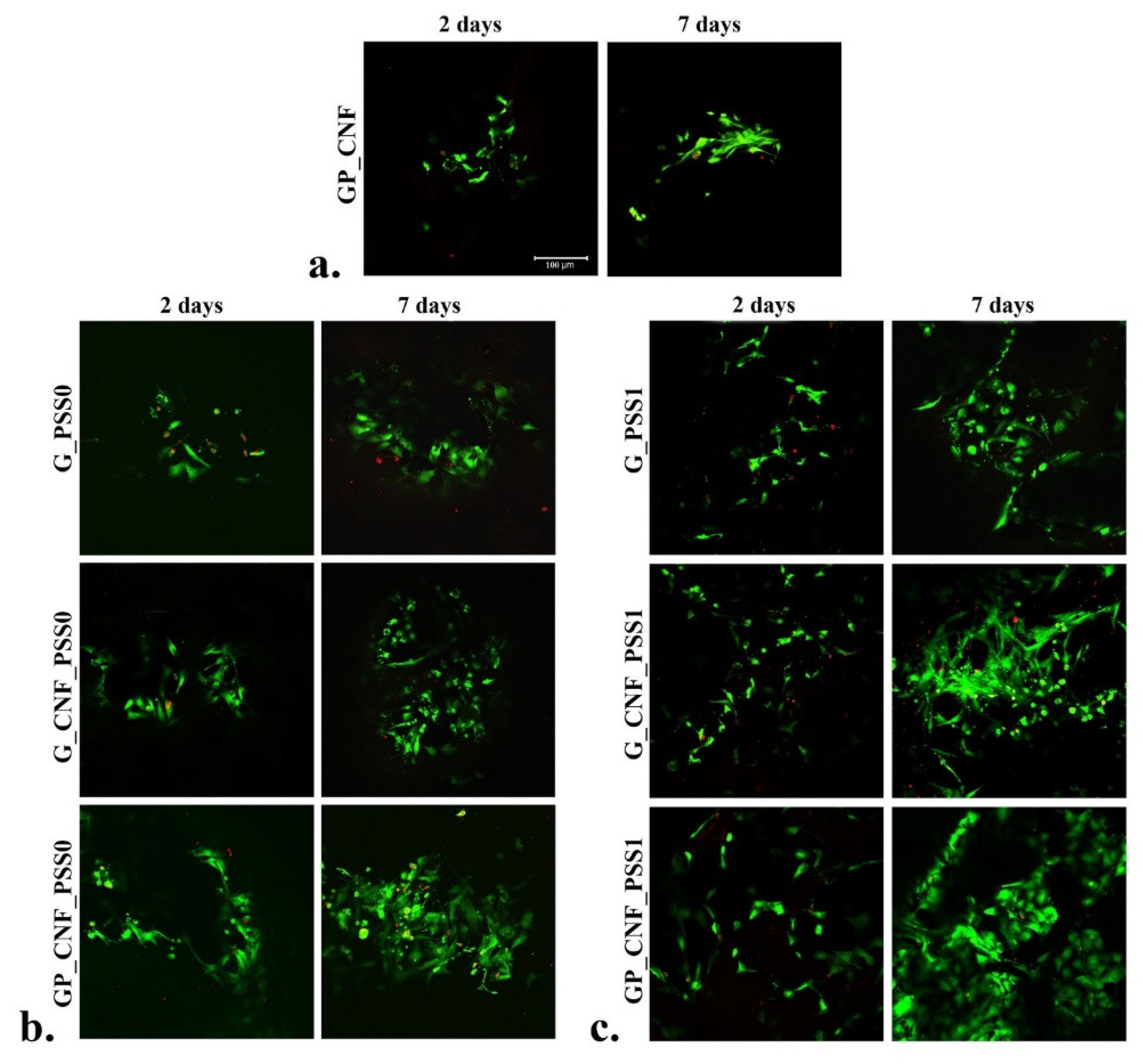 Gels 08 00762 g005 Gels 08 00762 g005