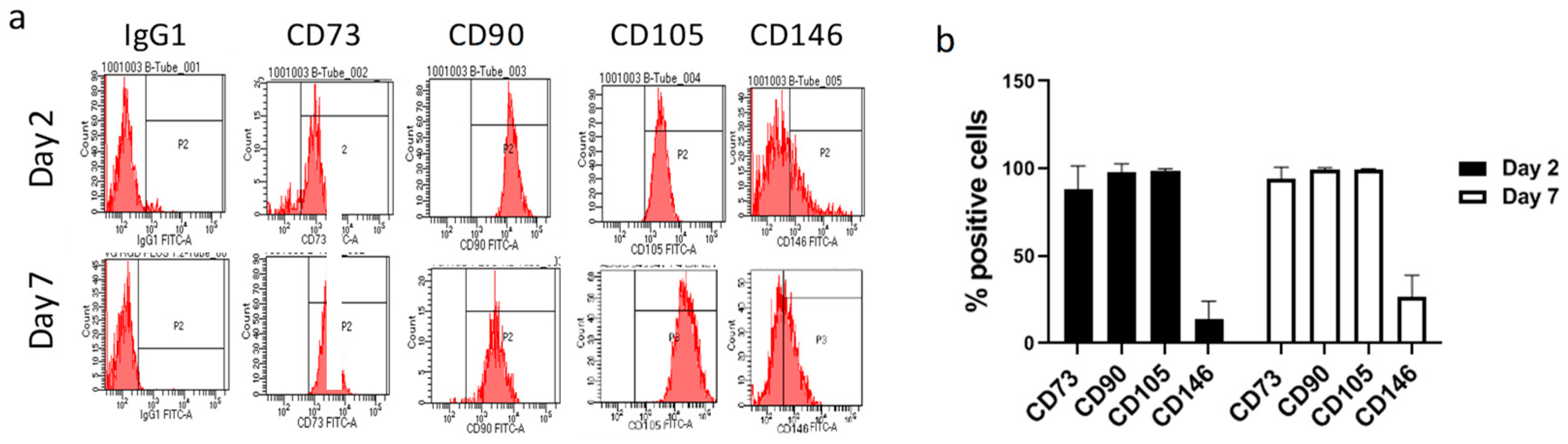 Gels 08 00766 g001 Gels 08 00766 g001