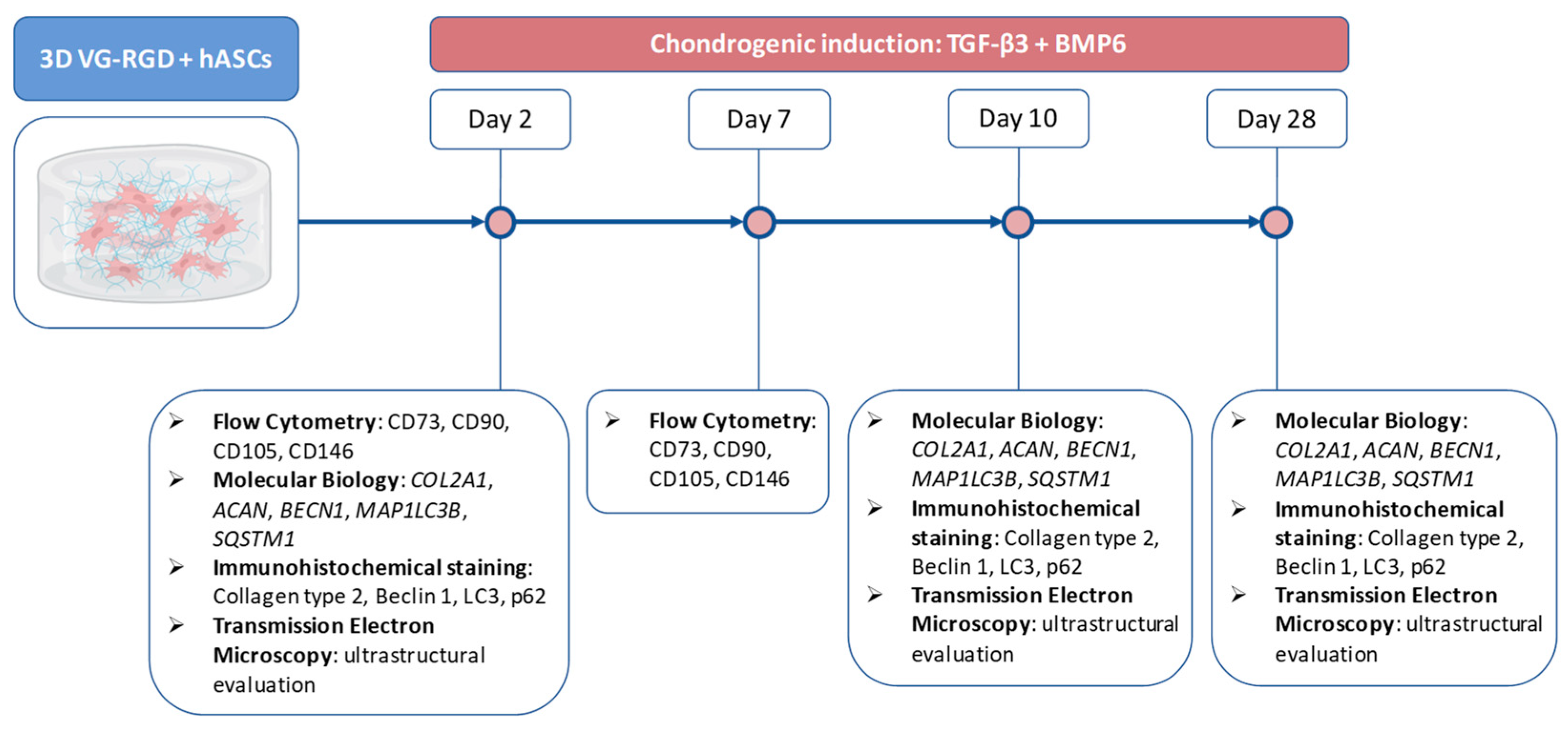 Gels 08 00766 g002 Gels 08 00766 g002
