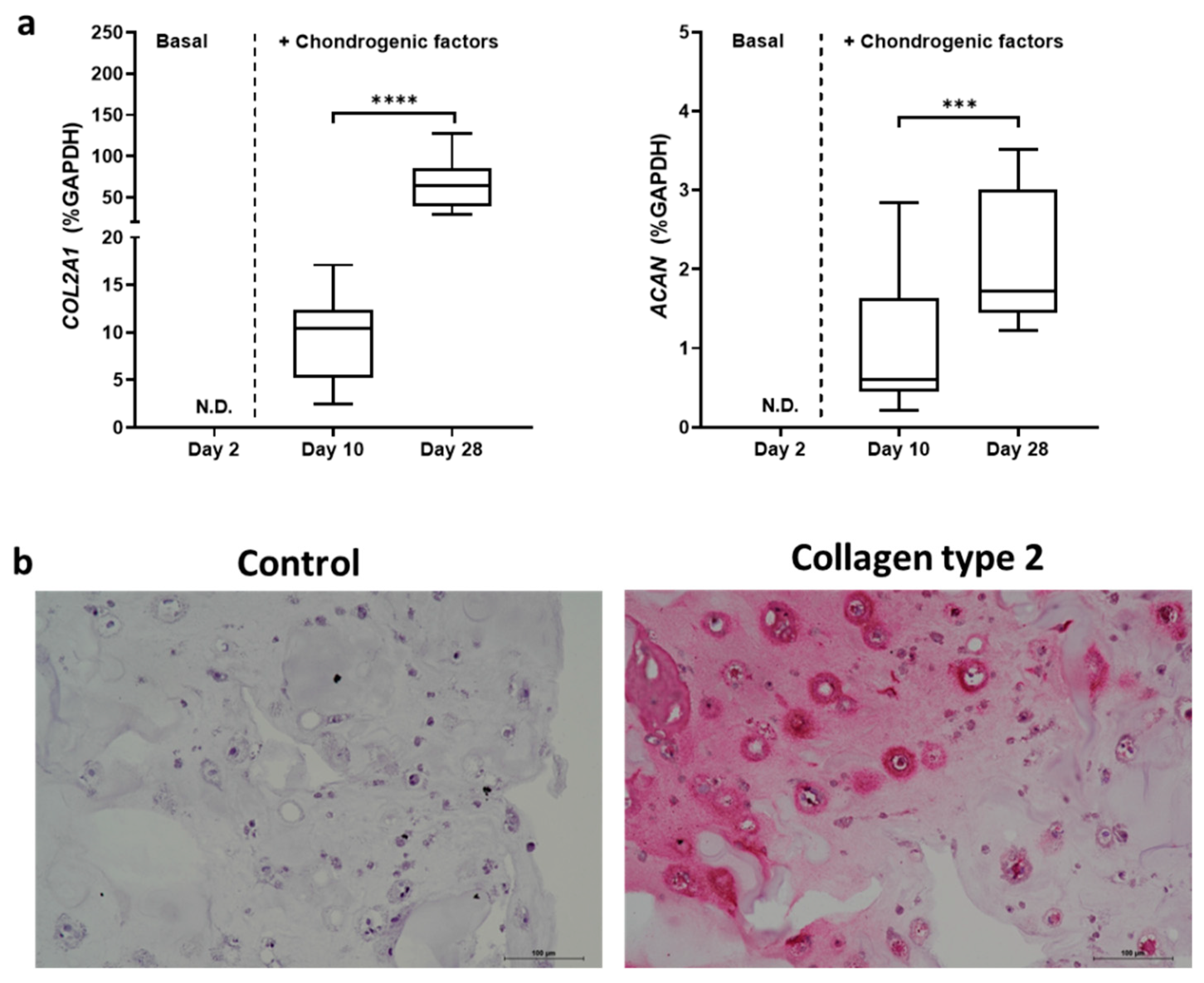 Gels 08 00766 g003 Gels 08 00766 g003