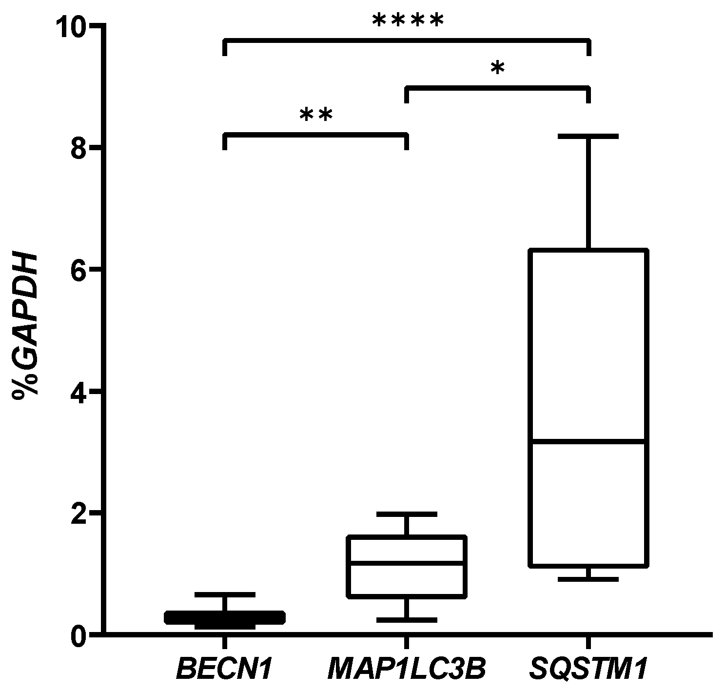 Gels 08 00766 g004 Gels 08 00766 g004