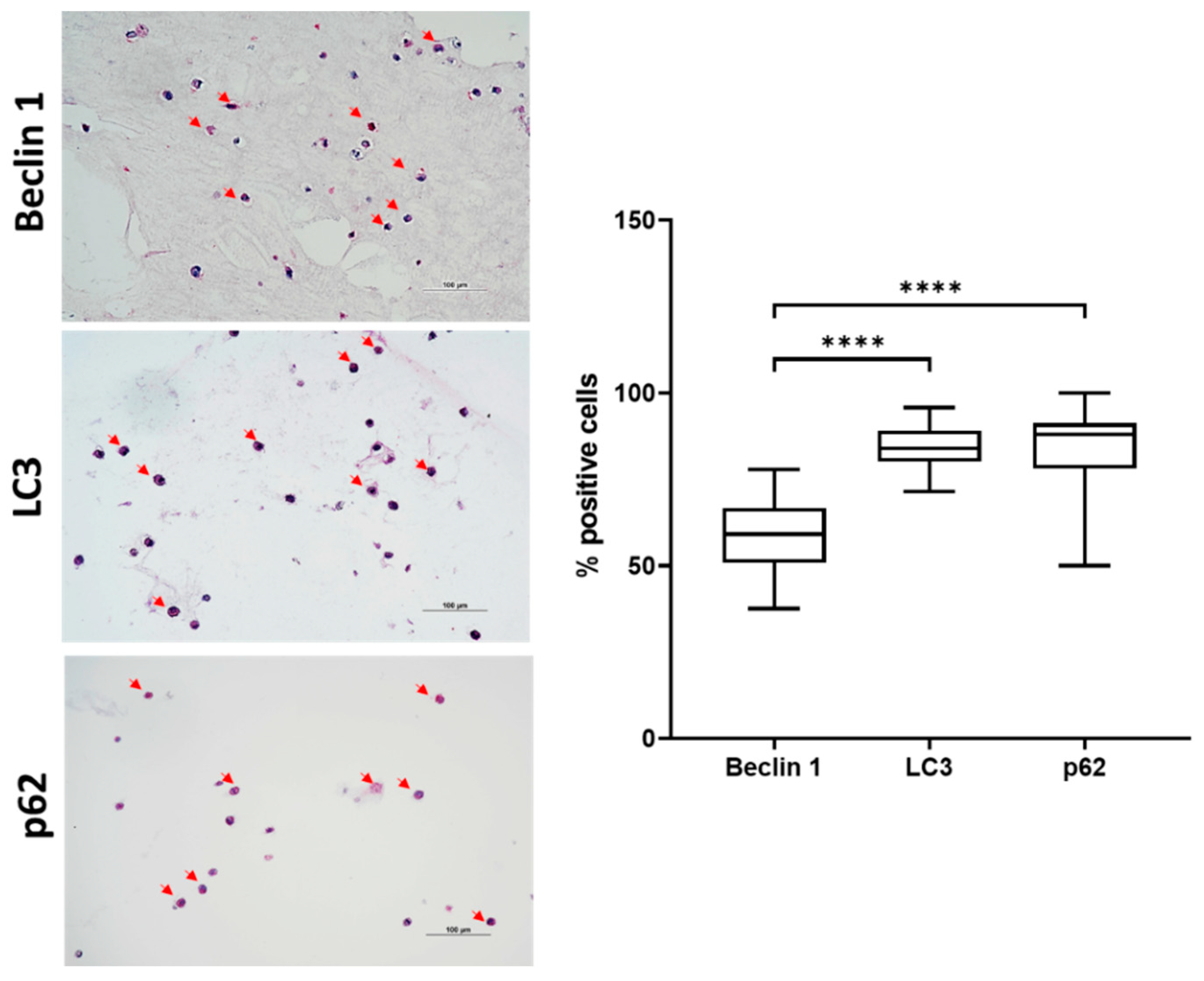 Gels 08 00766 g005 Gels 08 00766 g005