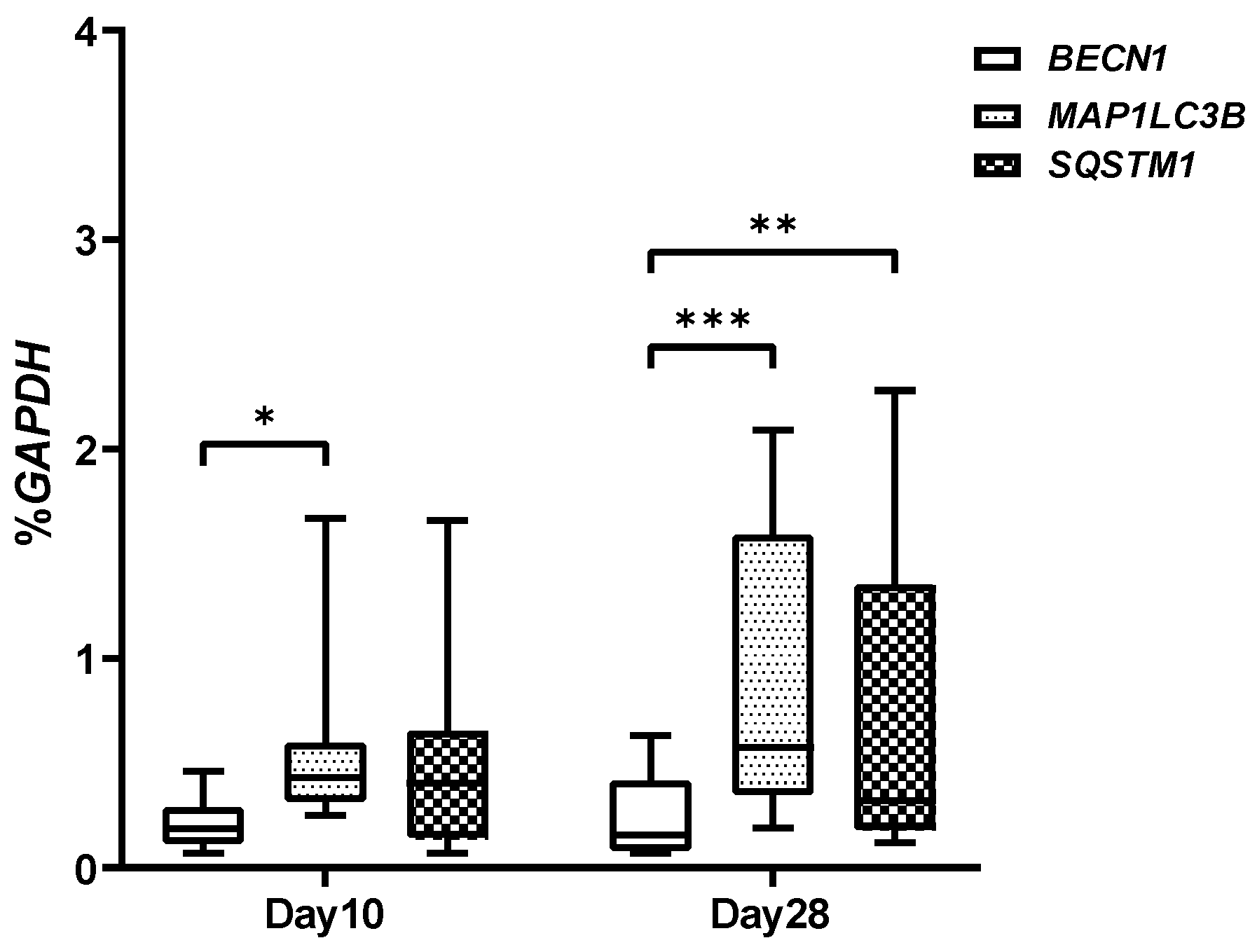 Gels 08 00766 g006 Gels 08 00766 g006