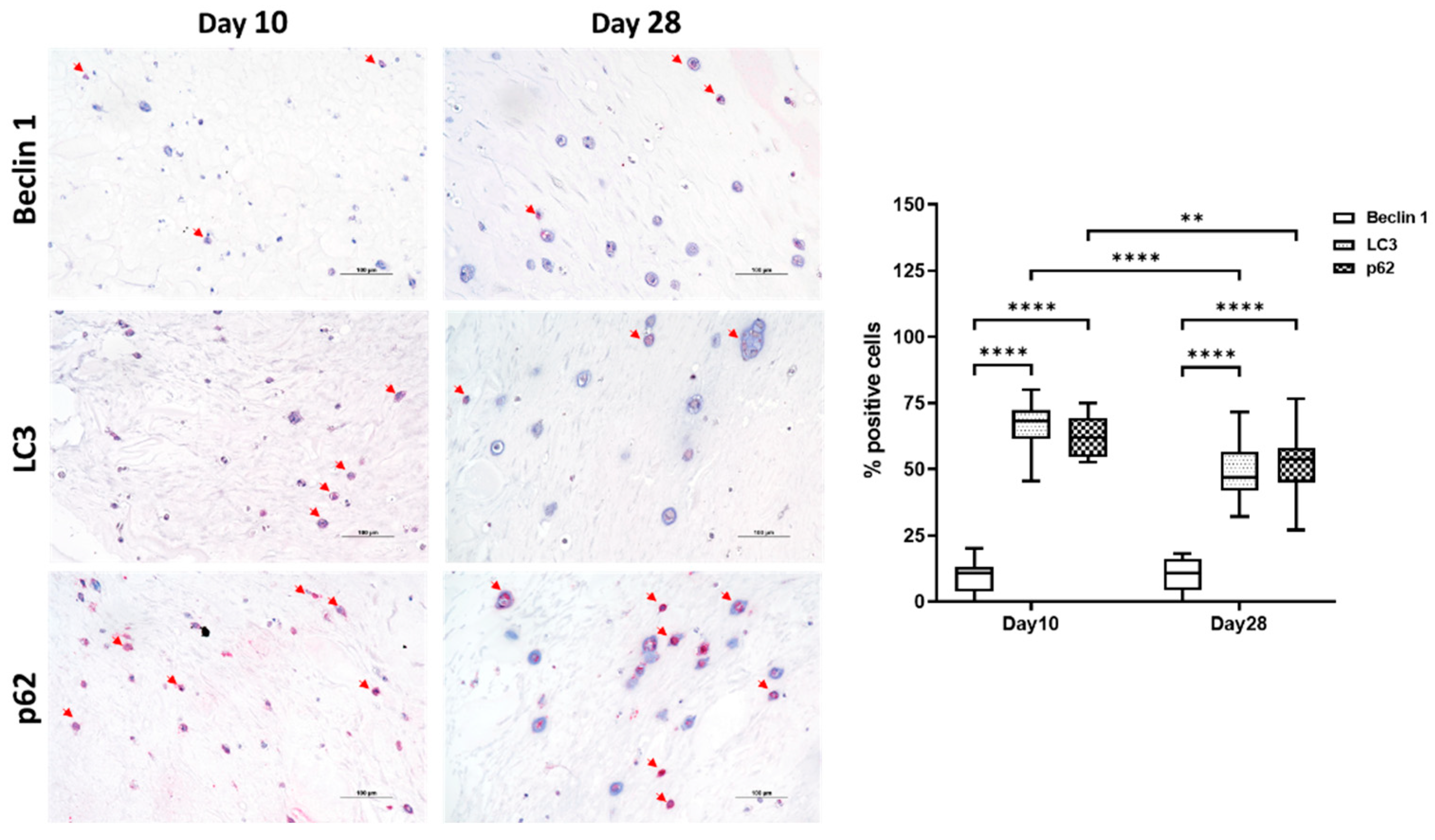 Gels 08 00766 g007 Gels 08 00766 g007
