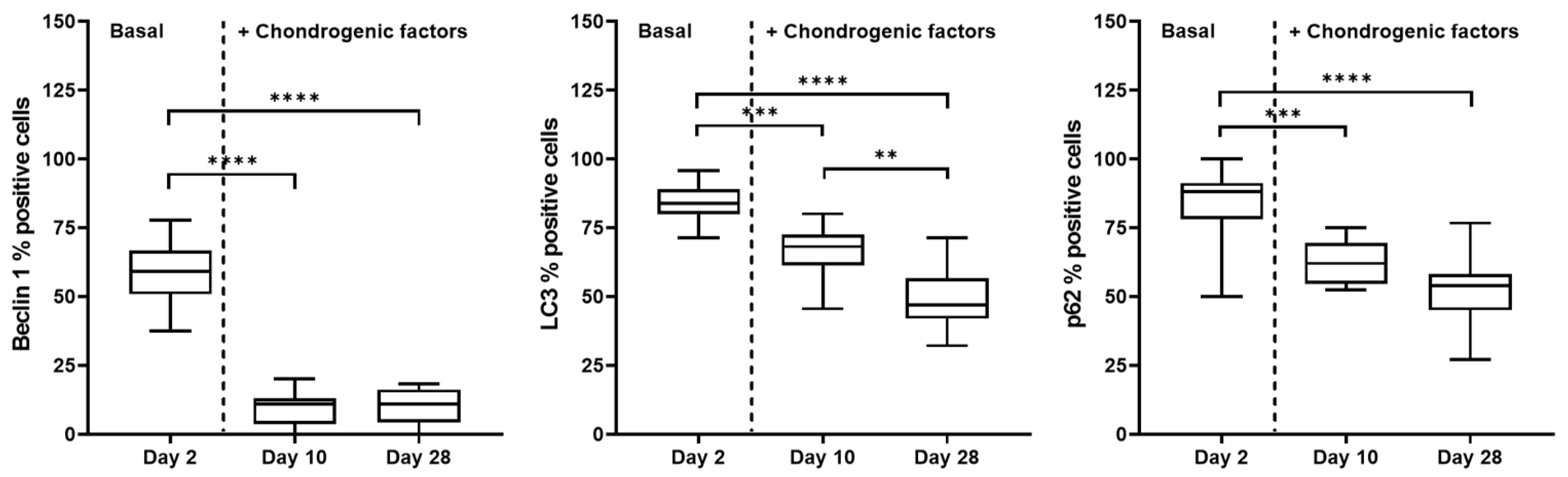 Gels 08 00766 g008 Gels 08 00766 g008